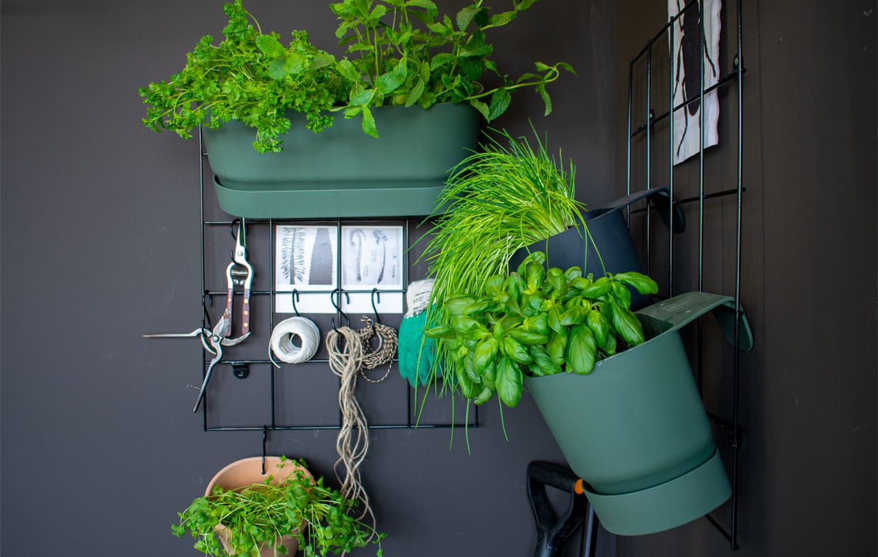 Wandrek Elho Loft Urban Green Wall, brede bloempot Elho Loft Urban Green Wall Duo, kleine bloempot Elho Loft Urban Green Wall Single, hangbloempot Elho Greenville Hangschaal. vtwonen | styling Marianne Luning | fotografie Lotte Kwant