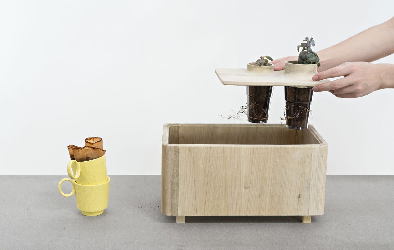 Plantenbak waarin koffiedik als plantenvoeding kan worden gebruikt. Ontwerp: Melahat Köseli.