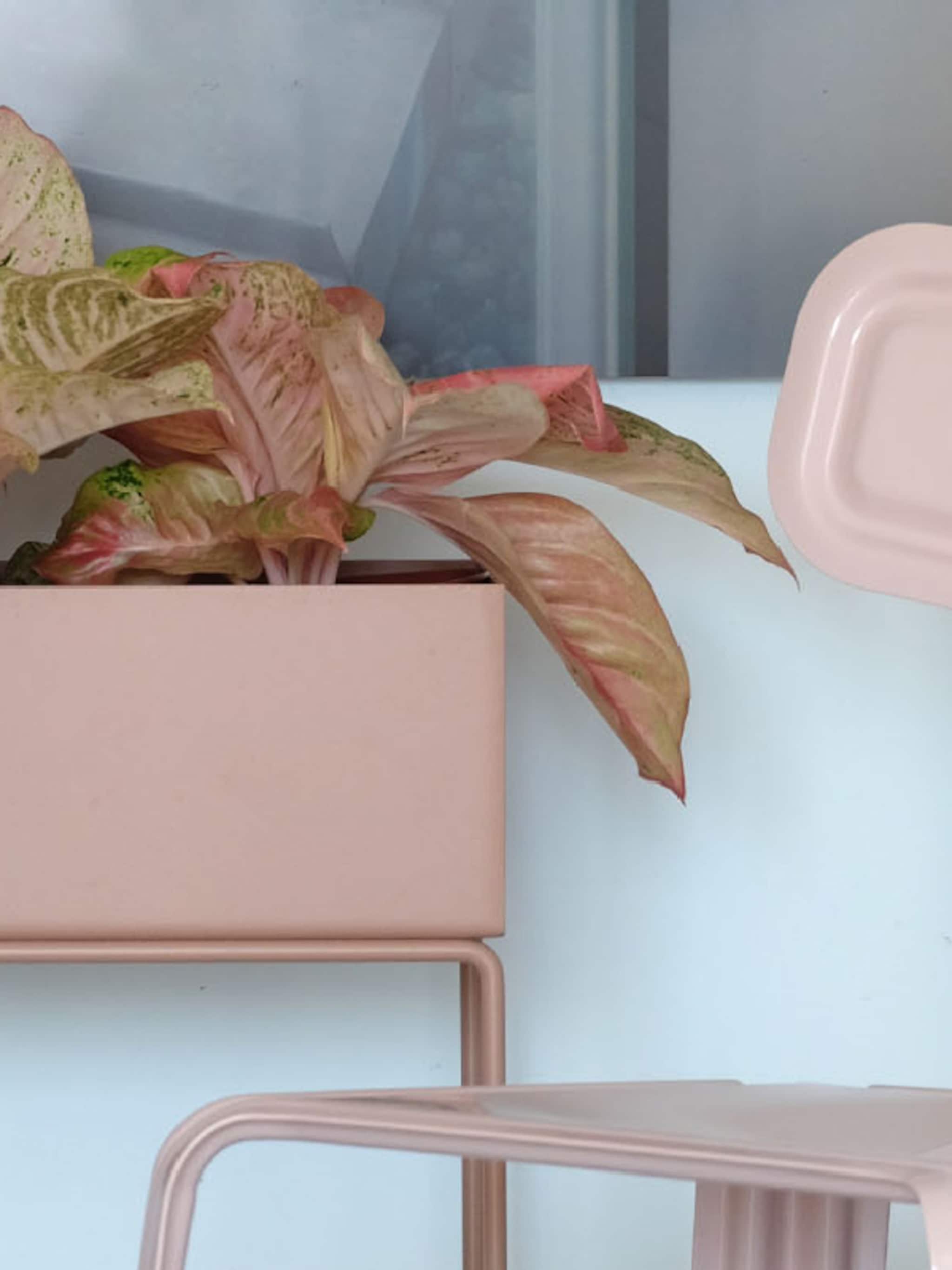 de tofste manieren om roze toe te voegen aan je interieur