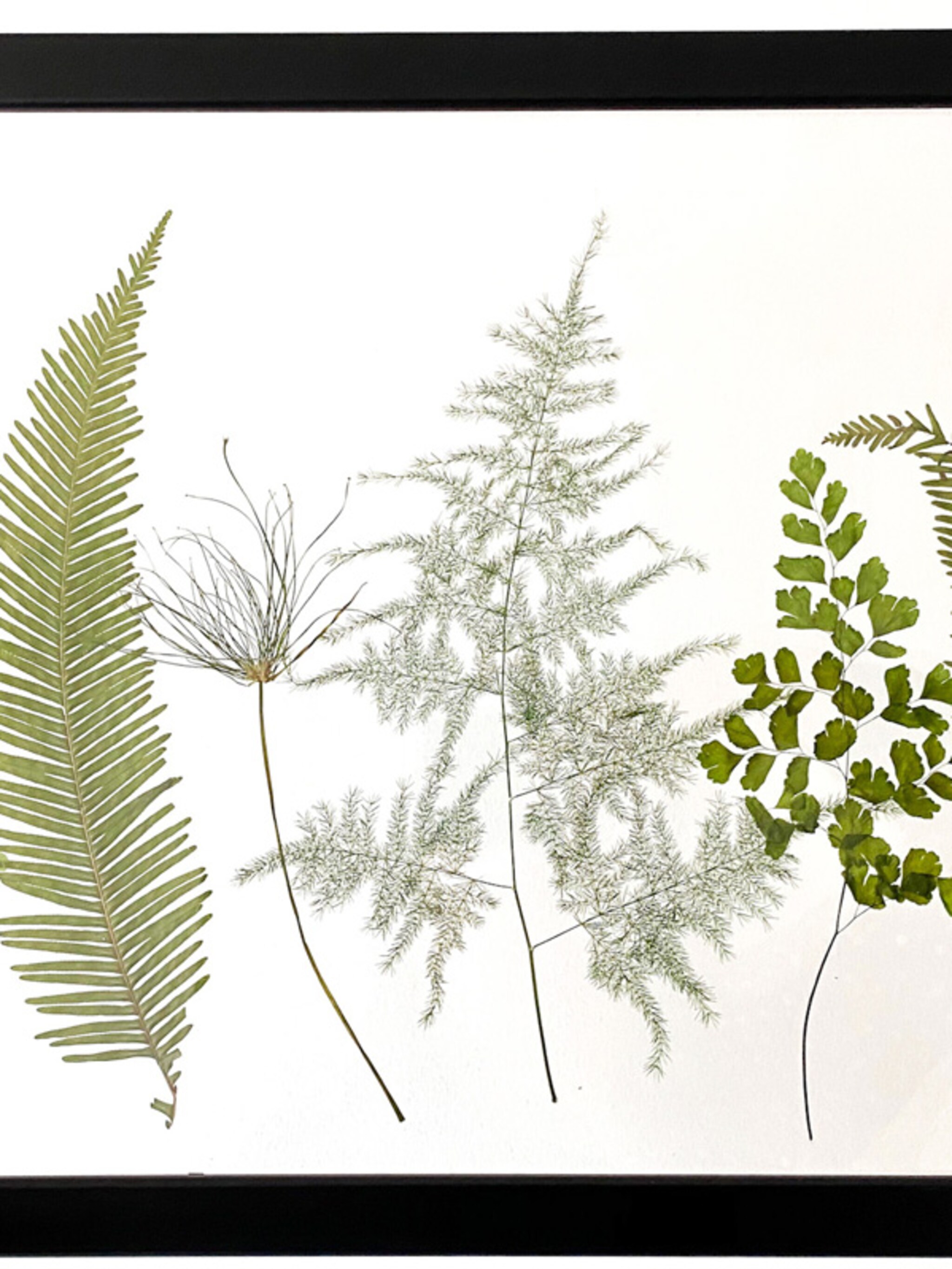 diy zwevend herbarium