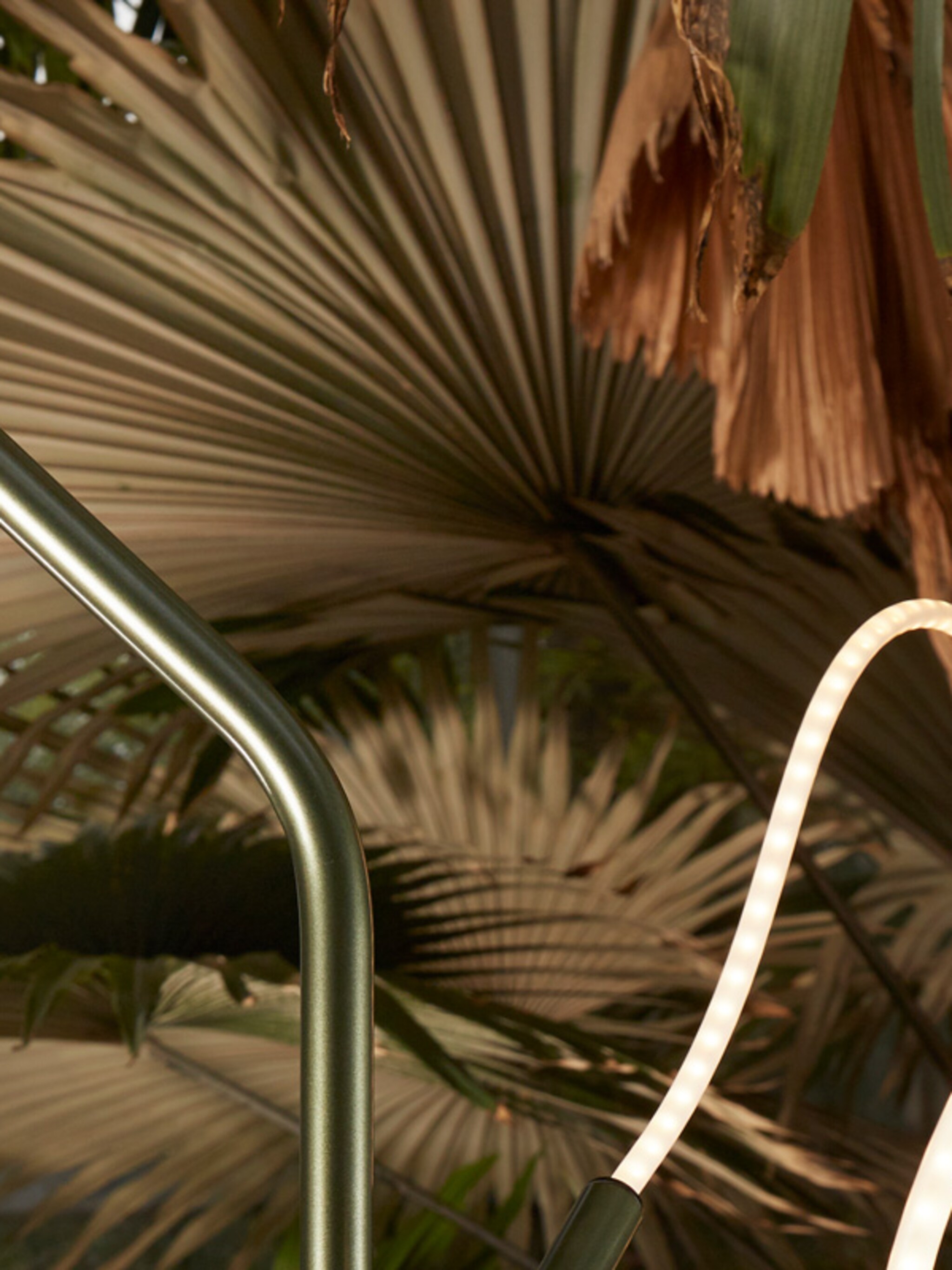 tropisch design
