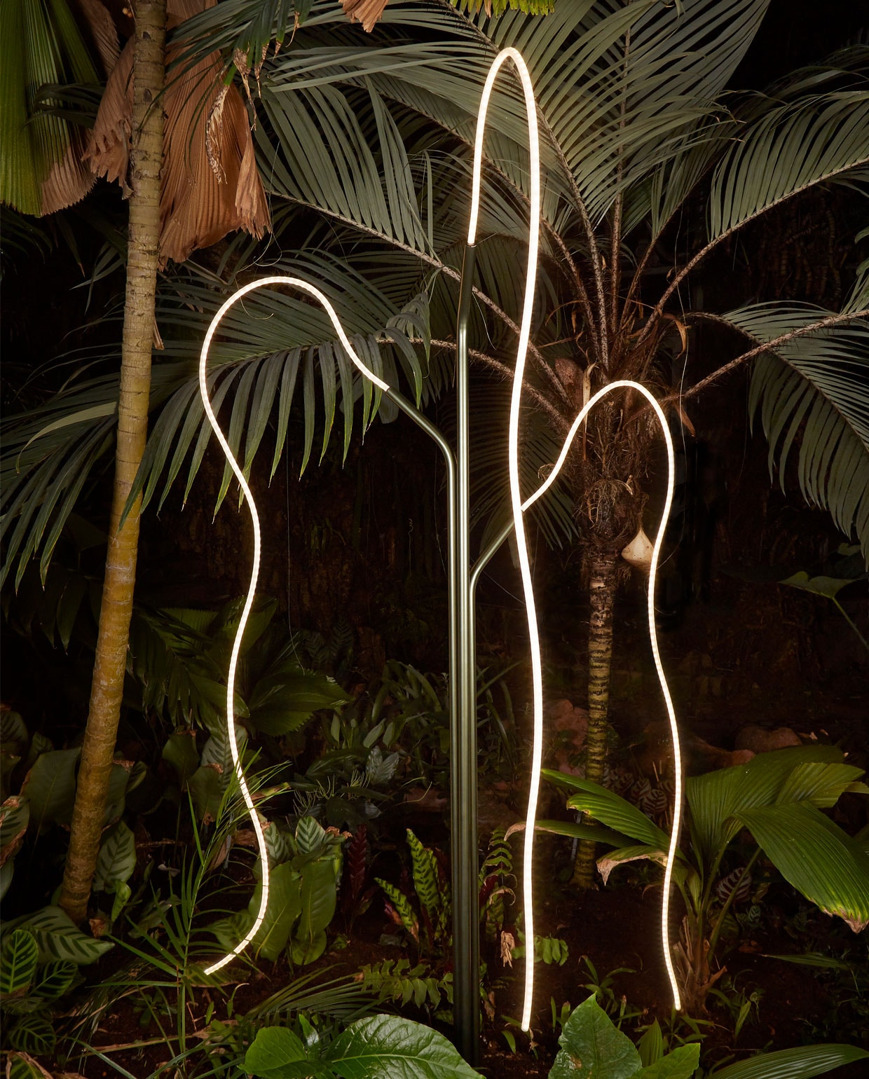 Geonoma lamp van Amandine Gini