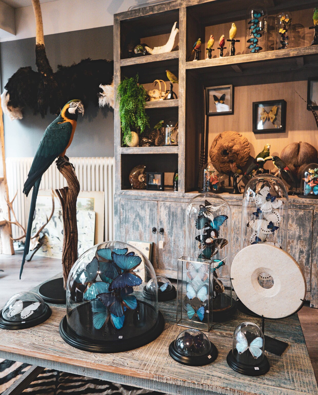 Museumwinkel Nijmegen