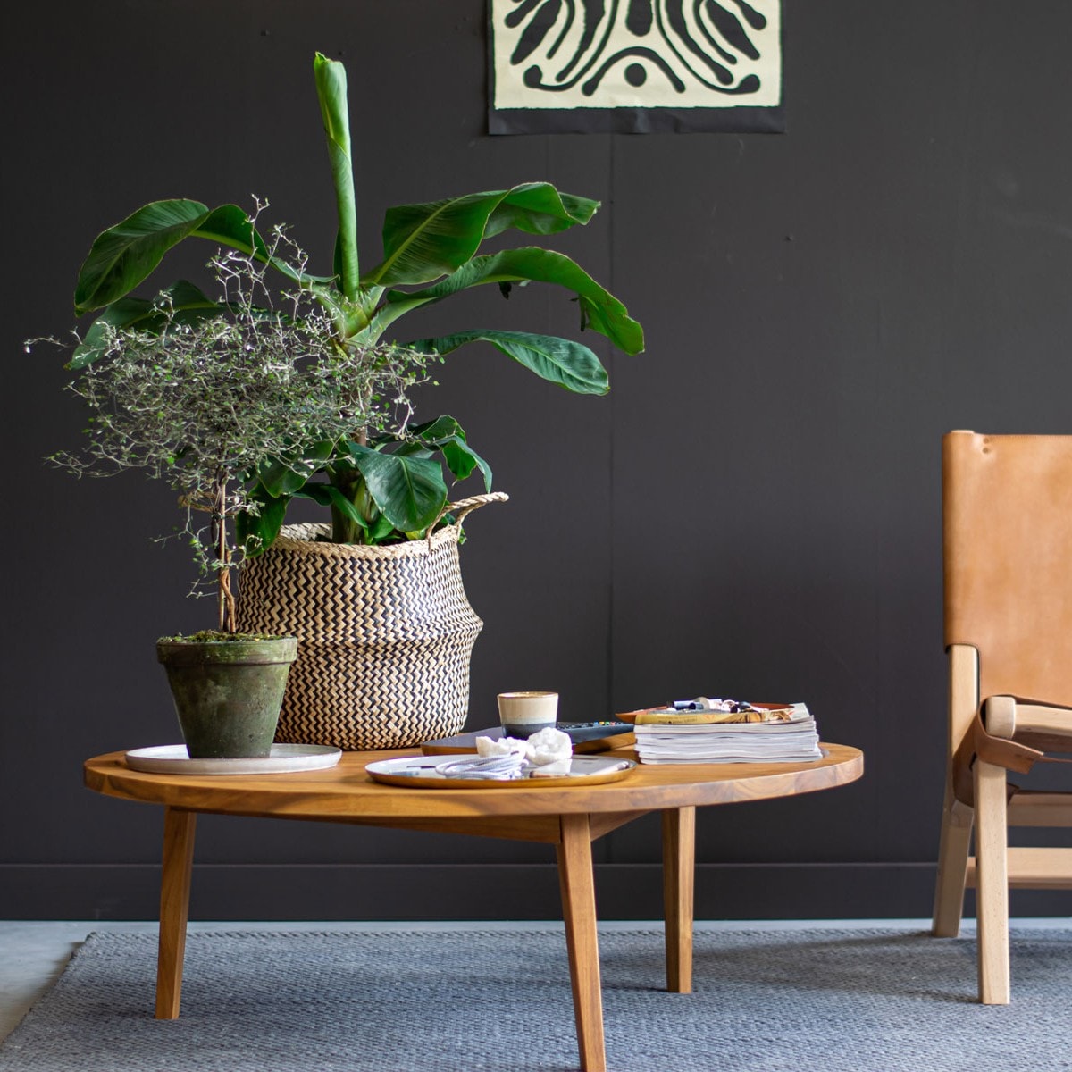 vtwonen 2024-09 | styling Marianne Luning | fotografie Lotte Kwant