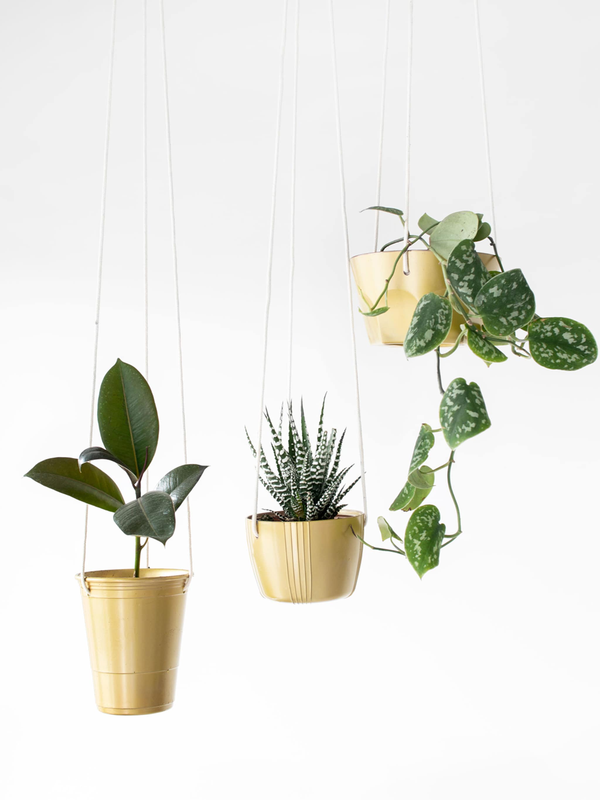 diy plantenhangers van plastic bakjes