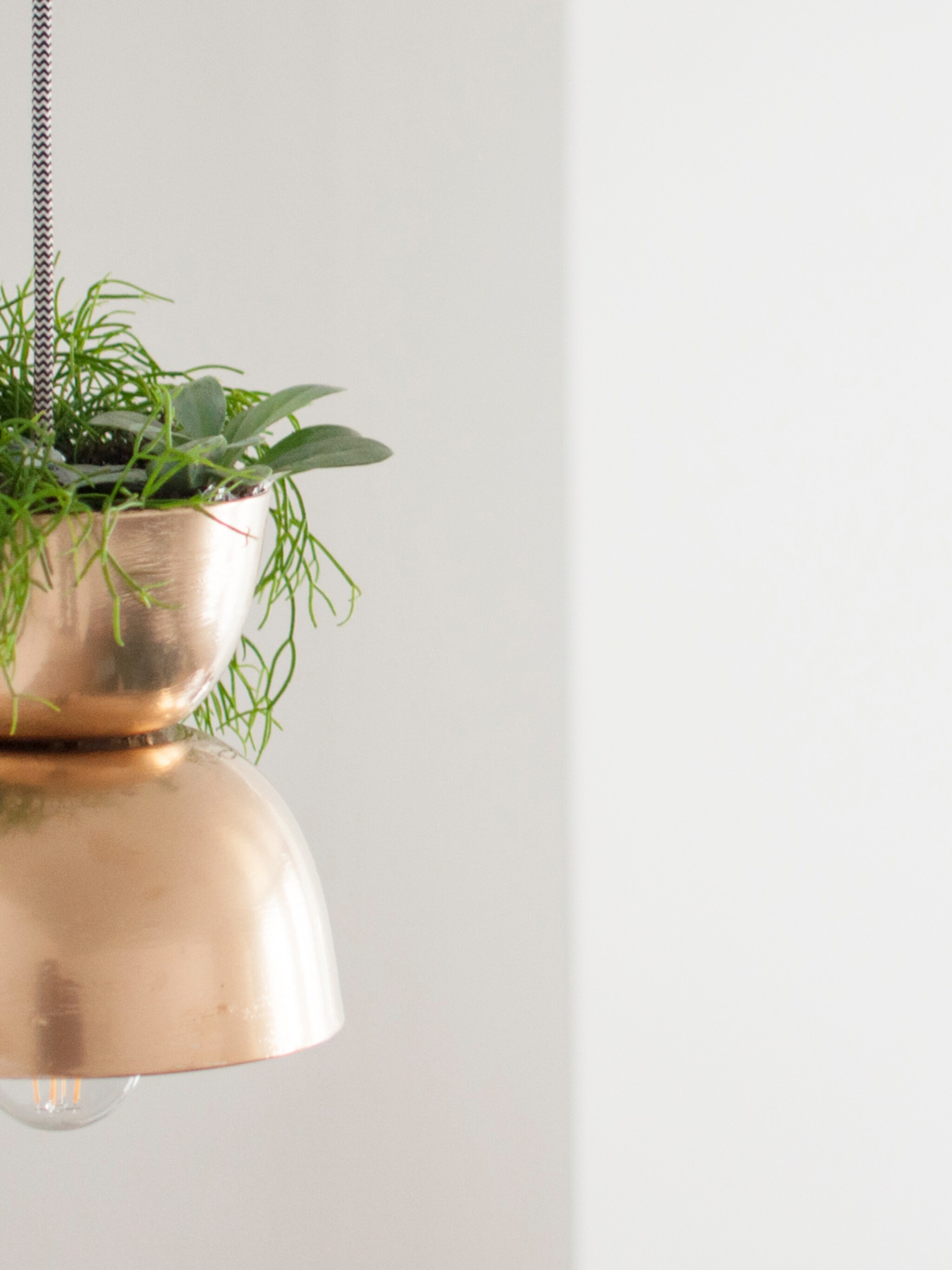 diy hanglamp met plant
