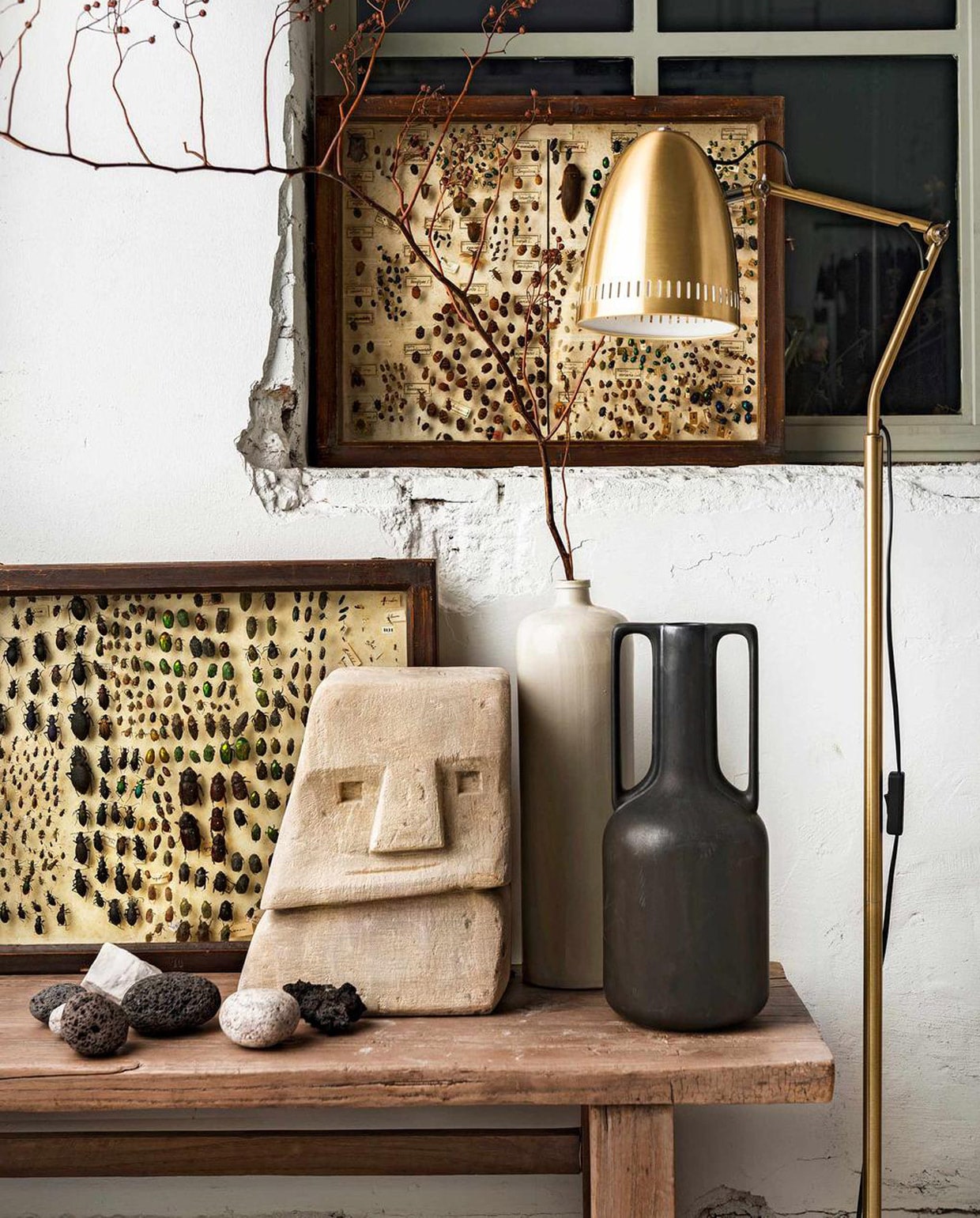 Antieke vitrinelijsten met insecten (interieur-vivre.nl). Stenen kop, messing vloerlamp, oud uniek eikenhouten bankje (loftloft.nl). Zwarte keramieken kruik van HKliving (vtwonen.nl). Witte kruik, losse stenen privébezit.