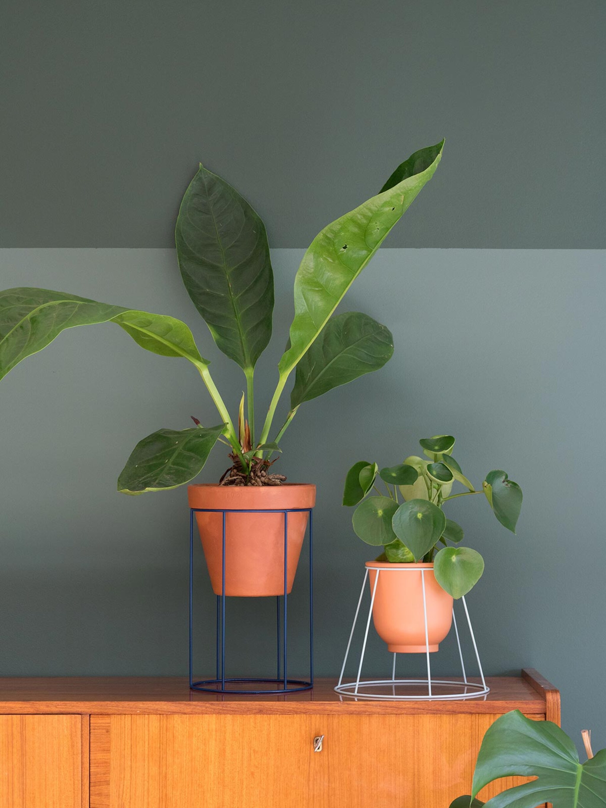diy van lampenkap naar plantenstandaard