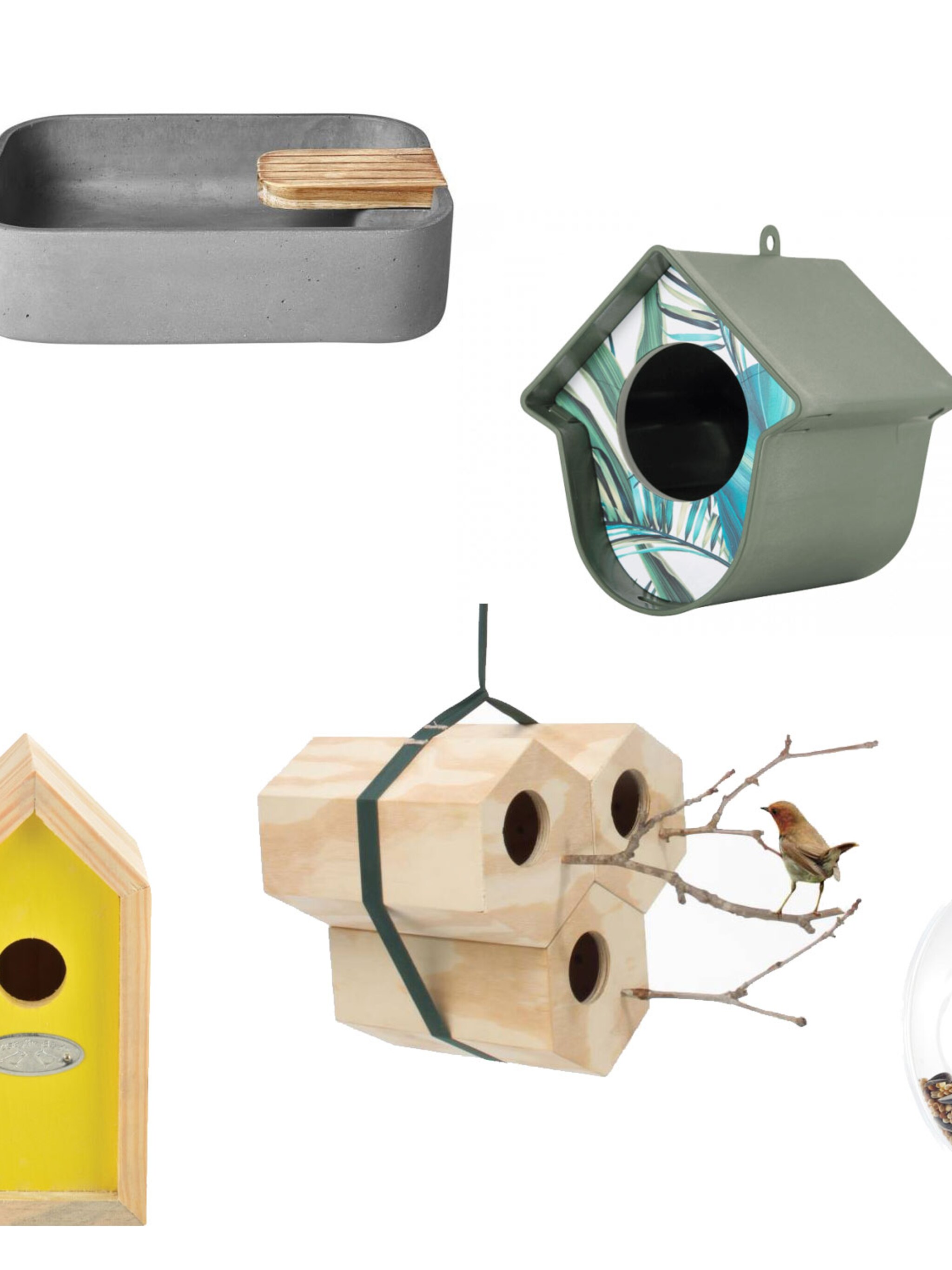 7x voor hippe vogels