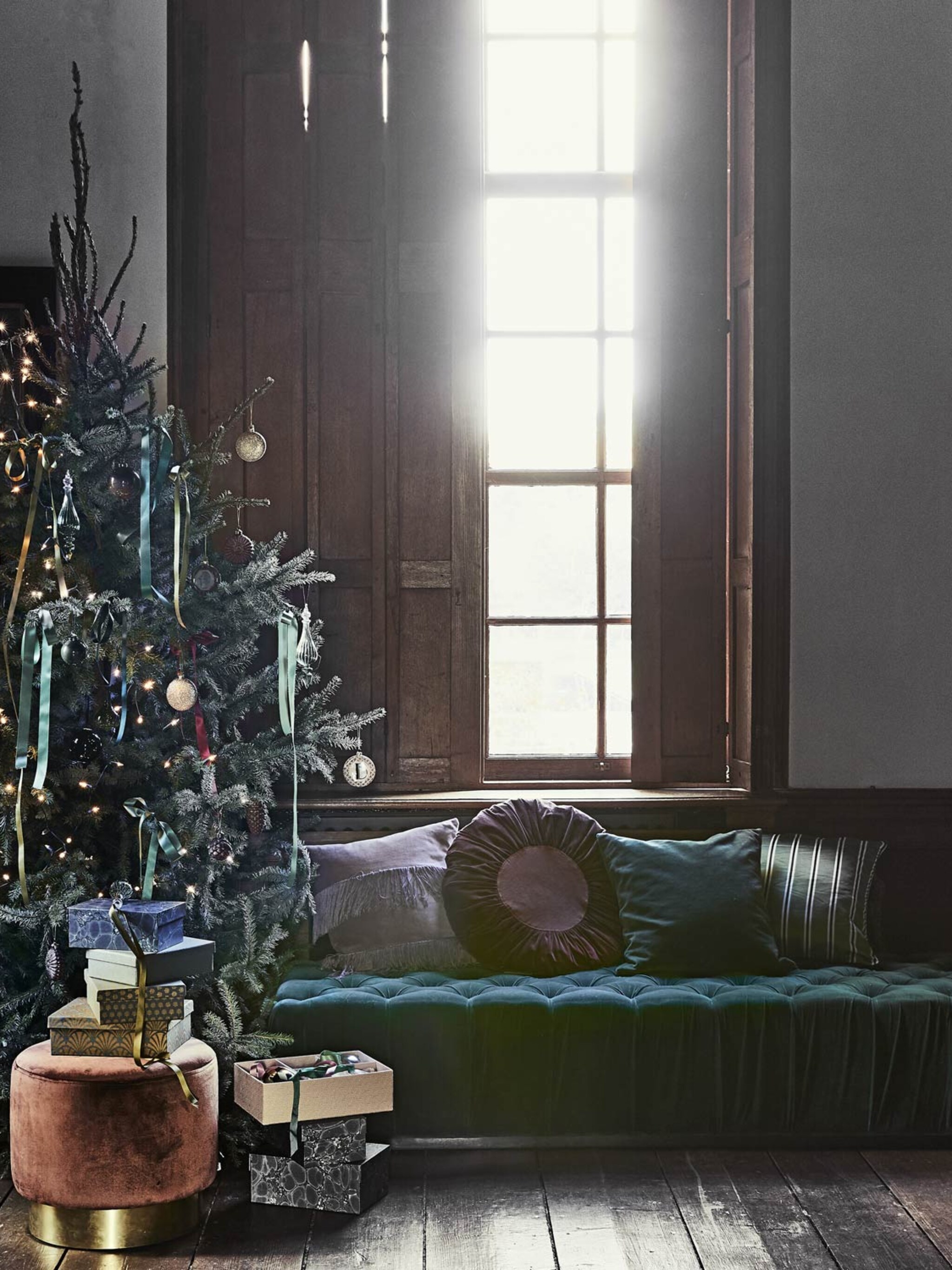 zoveel water aan de kerstboom geven