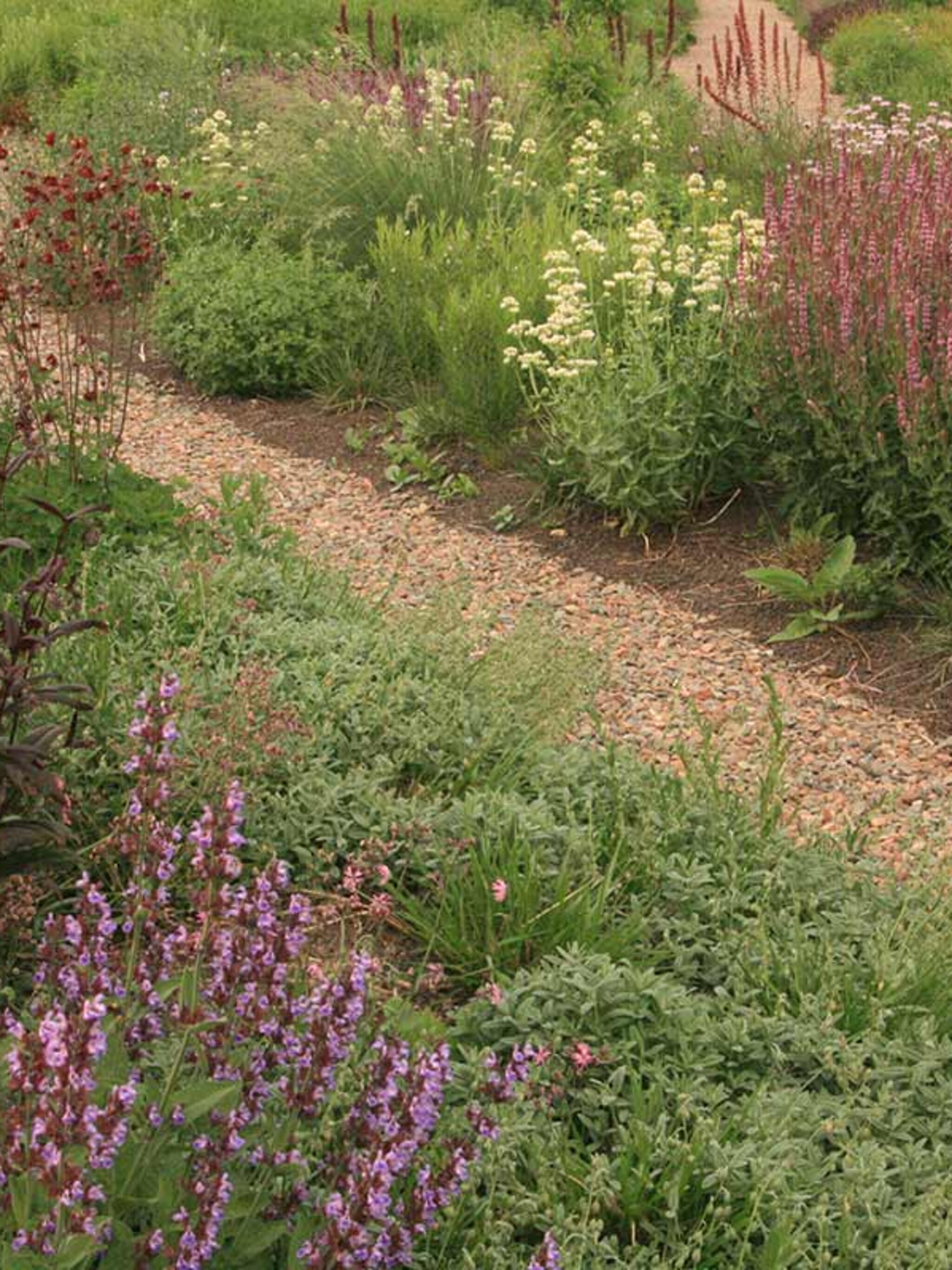 nieuw in nederland de steppetuin