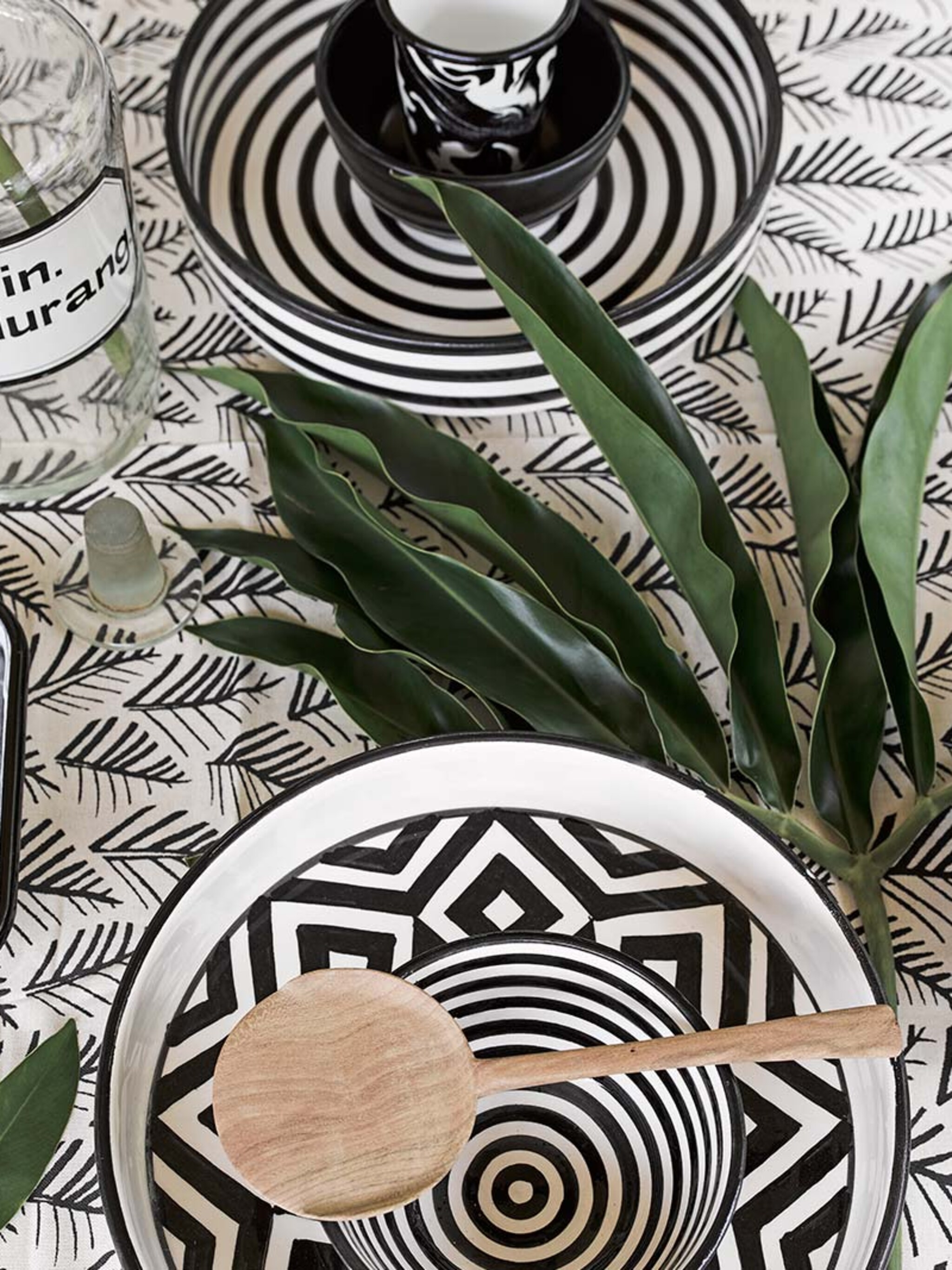 pick of the week 10x met een vleugje zuid afrika