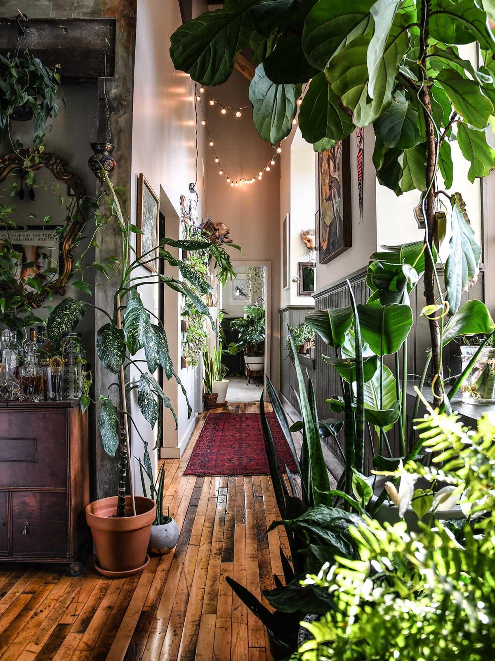 wonderplants 2 stylen met groen als een pro