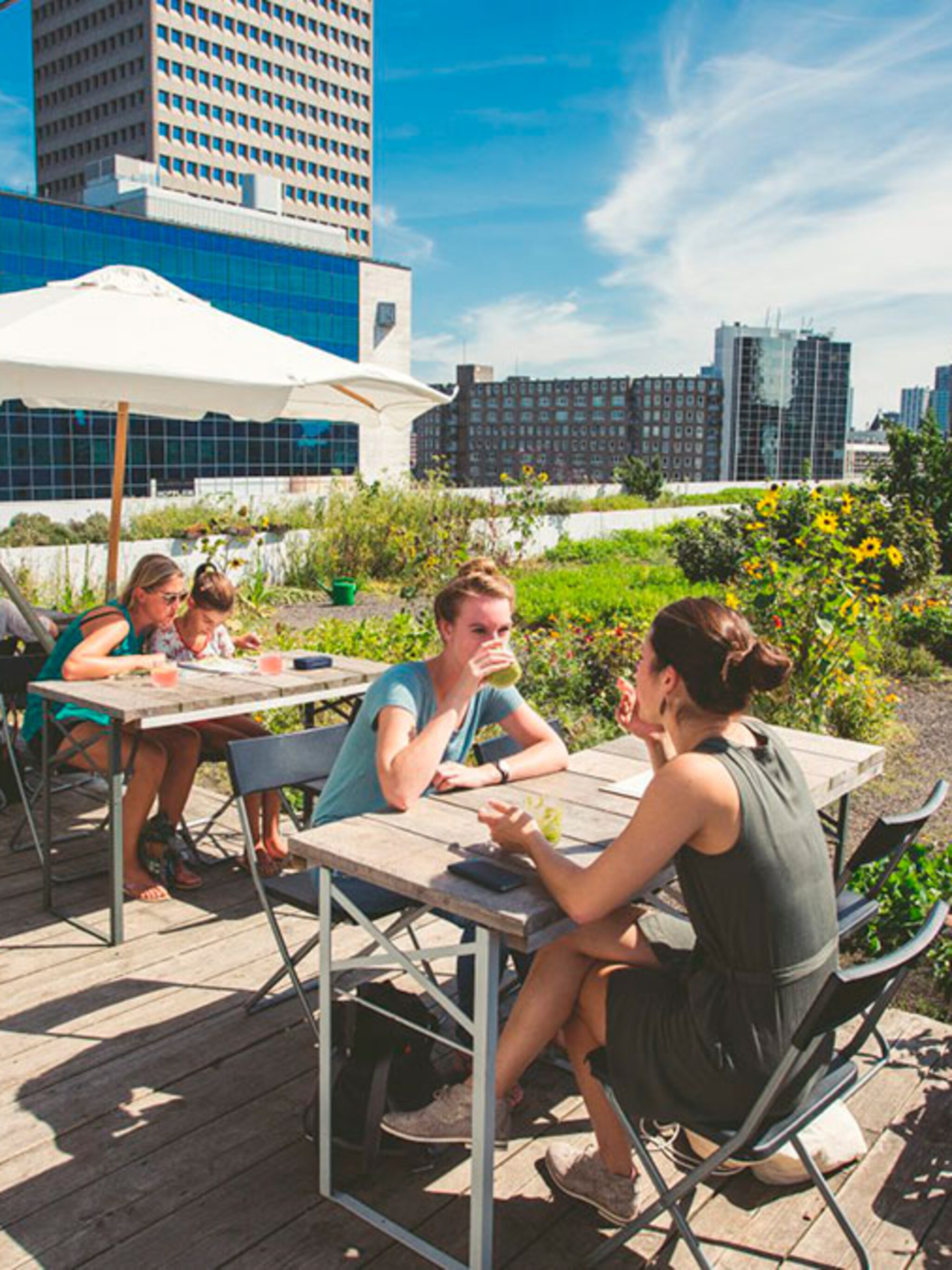op het dak ontbijt en lunch met zicht op de rotterdamse skyline