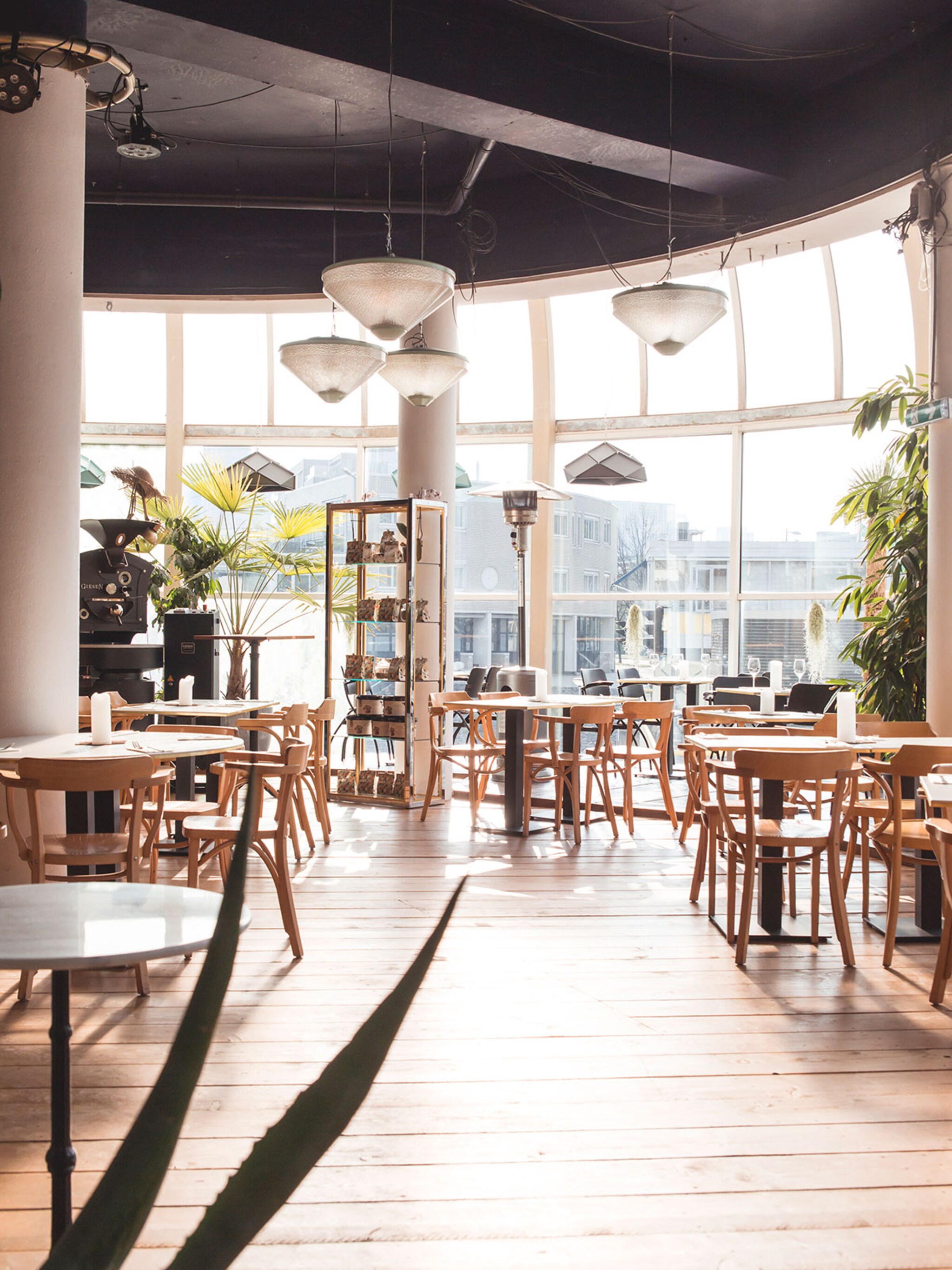 hotspot aloha een stukje hawai in rotterdam