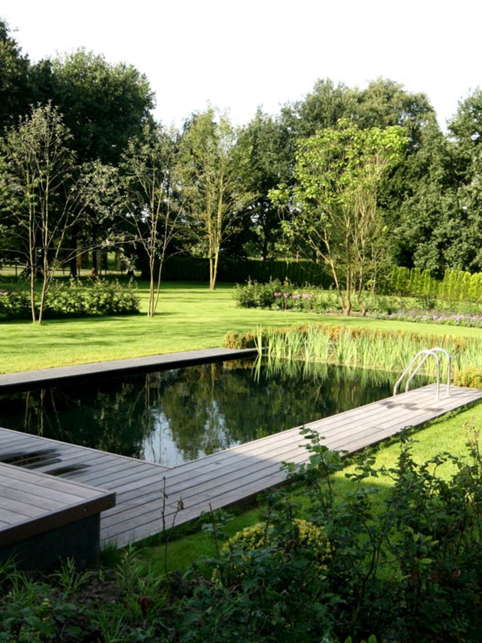 waarom we massaal een natuurzwembad willen
