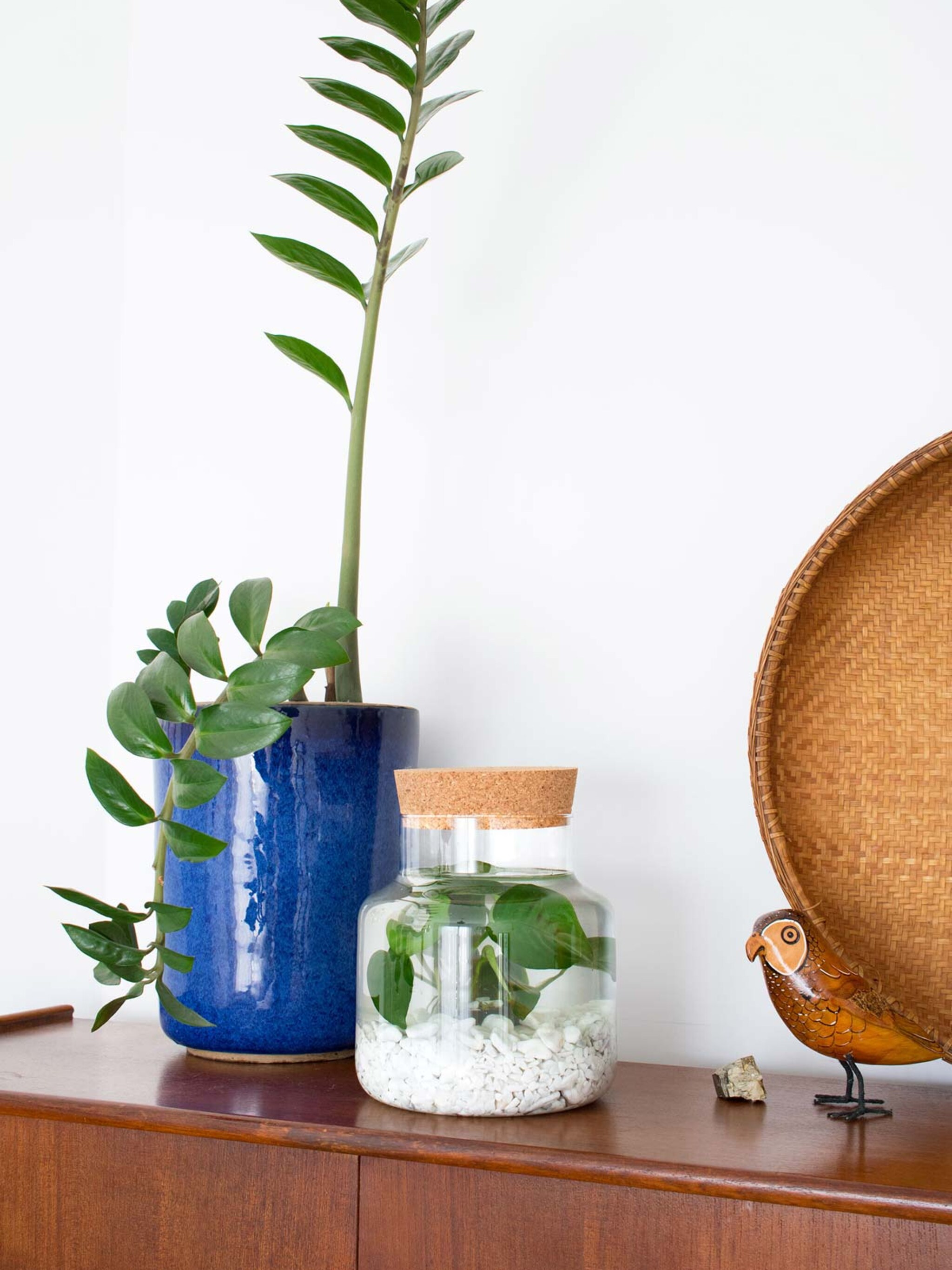 diy idee onderwatertuin in een weckpot