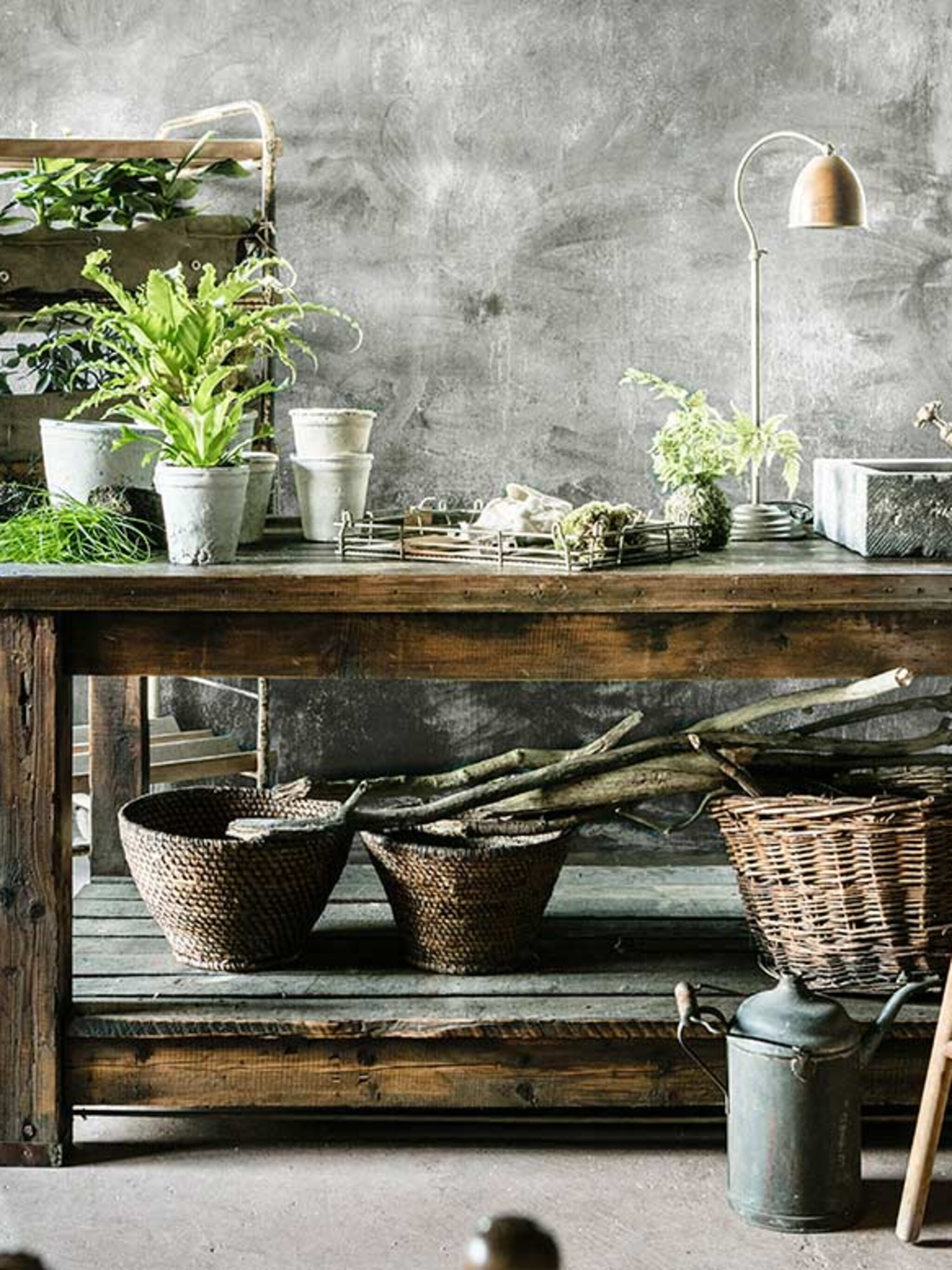 groen interieur met deze 4 doe het groen ideeen