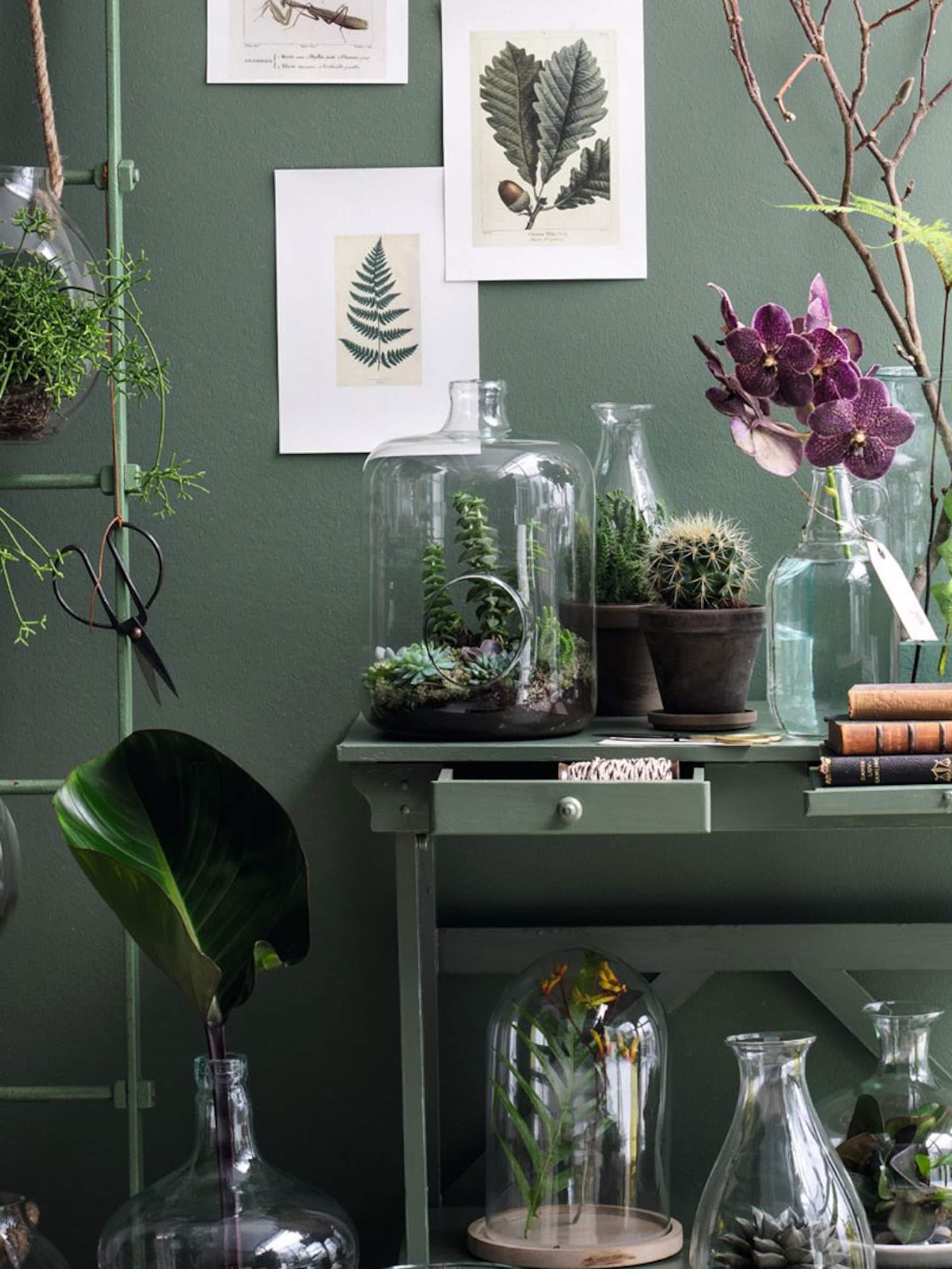 5x vtwonenbijmijthuis groen in huis