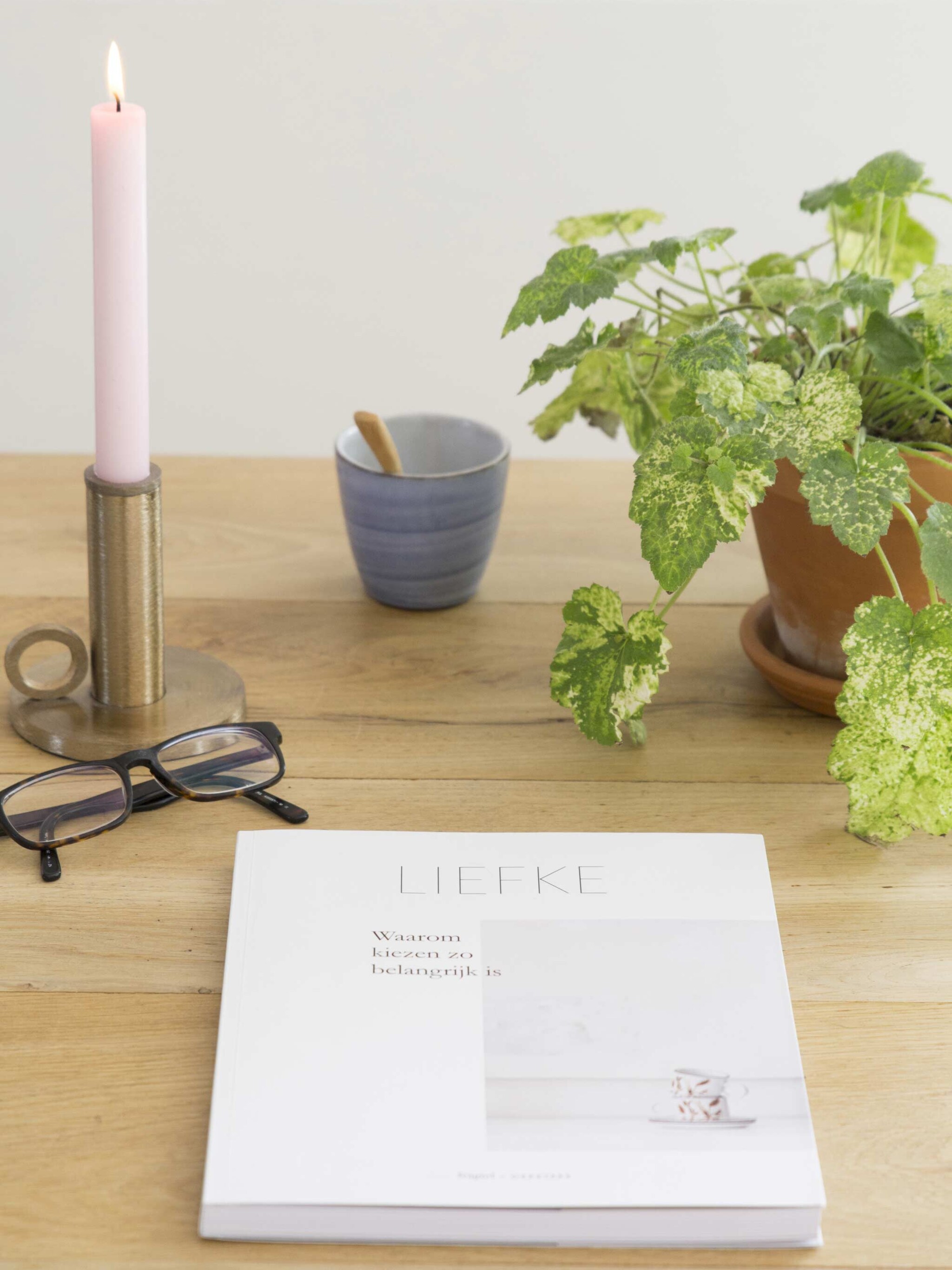 leestip liefke magazine