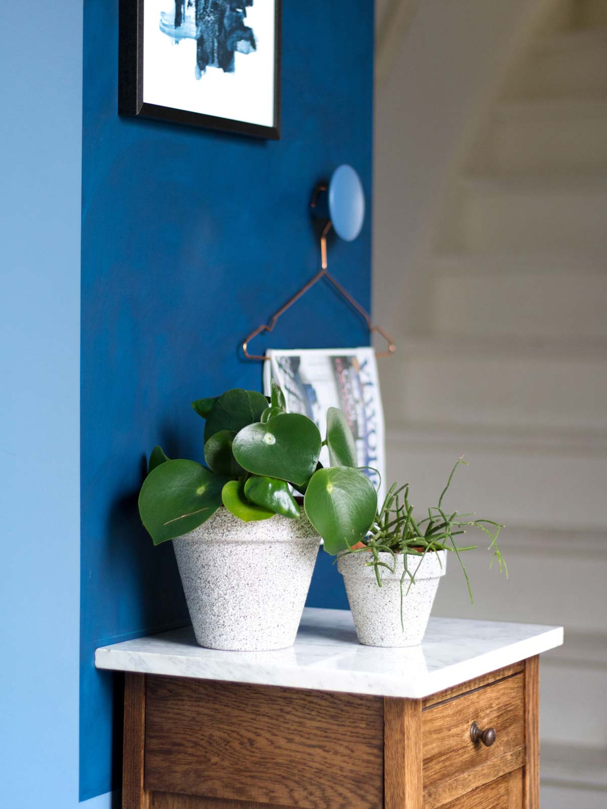 diy bloempotten met betonlook