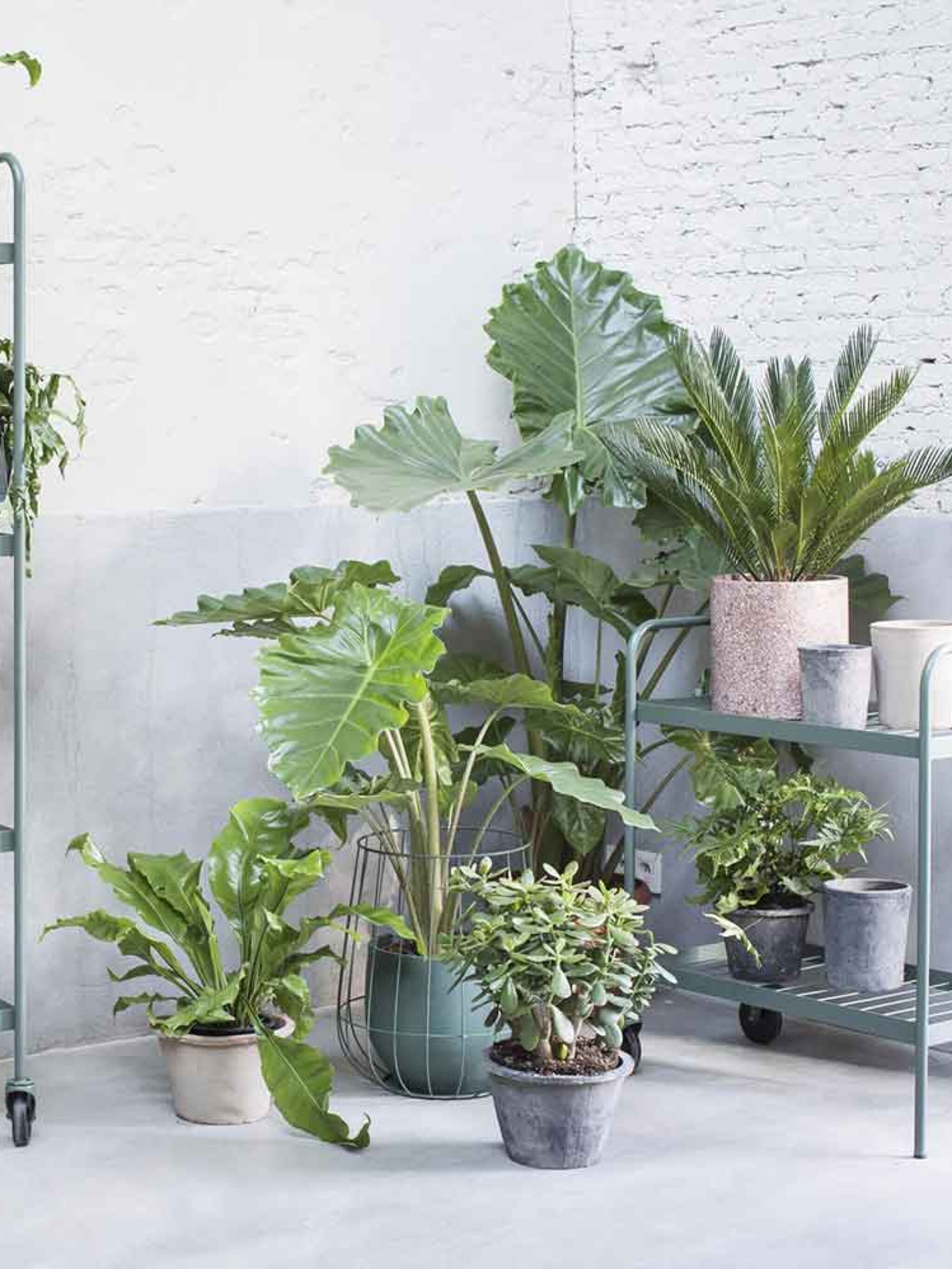 de leukste tuinaccessoires