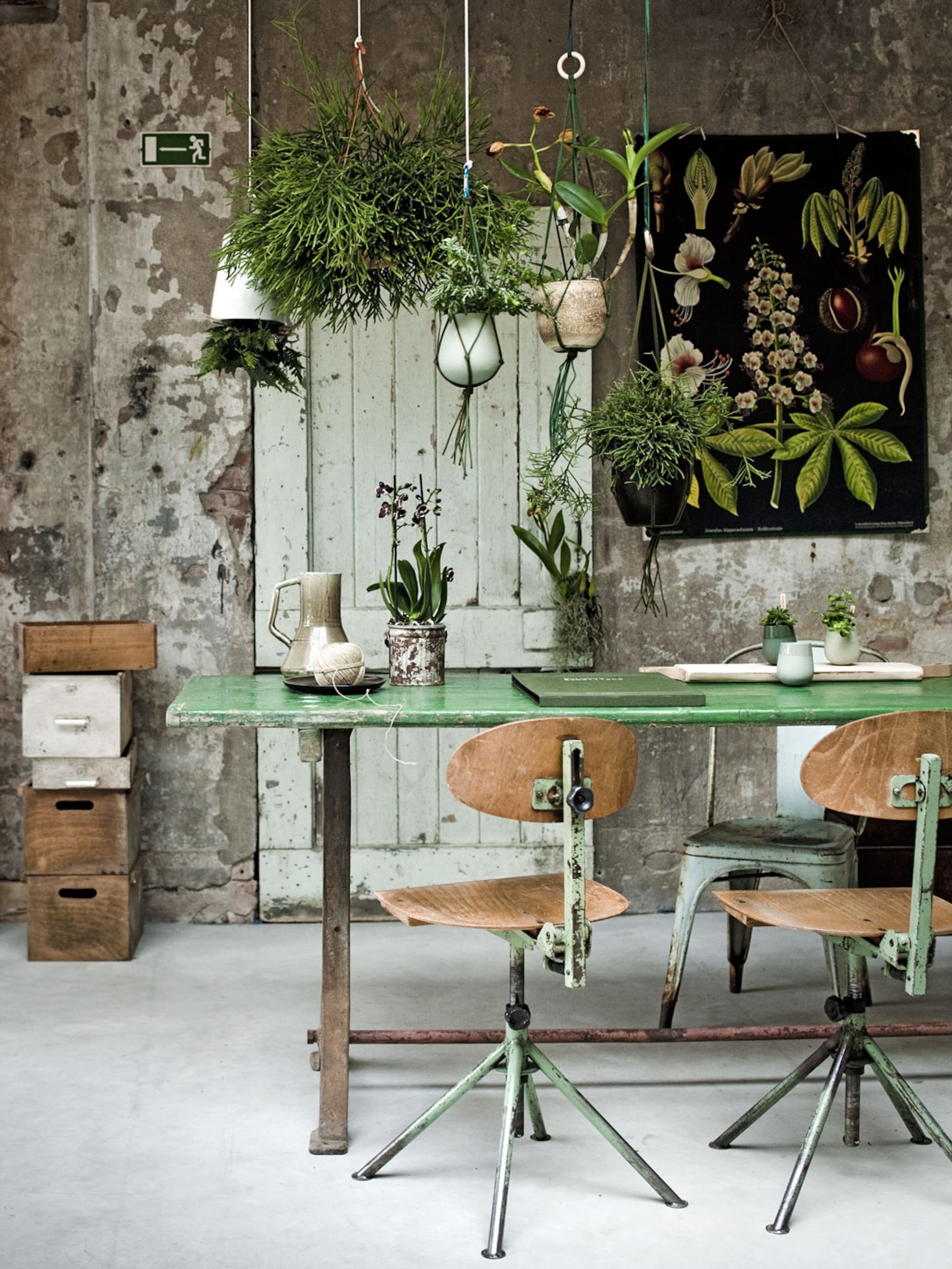 9x groen in je tuin en interieur