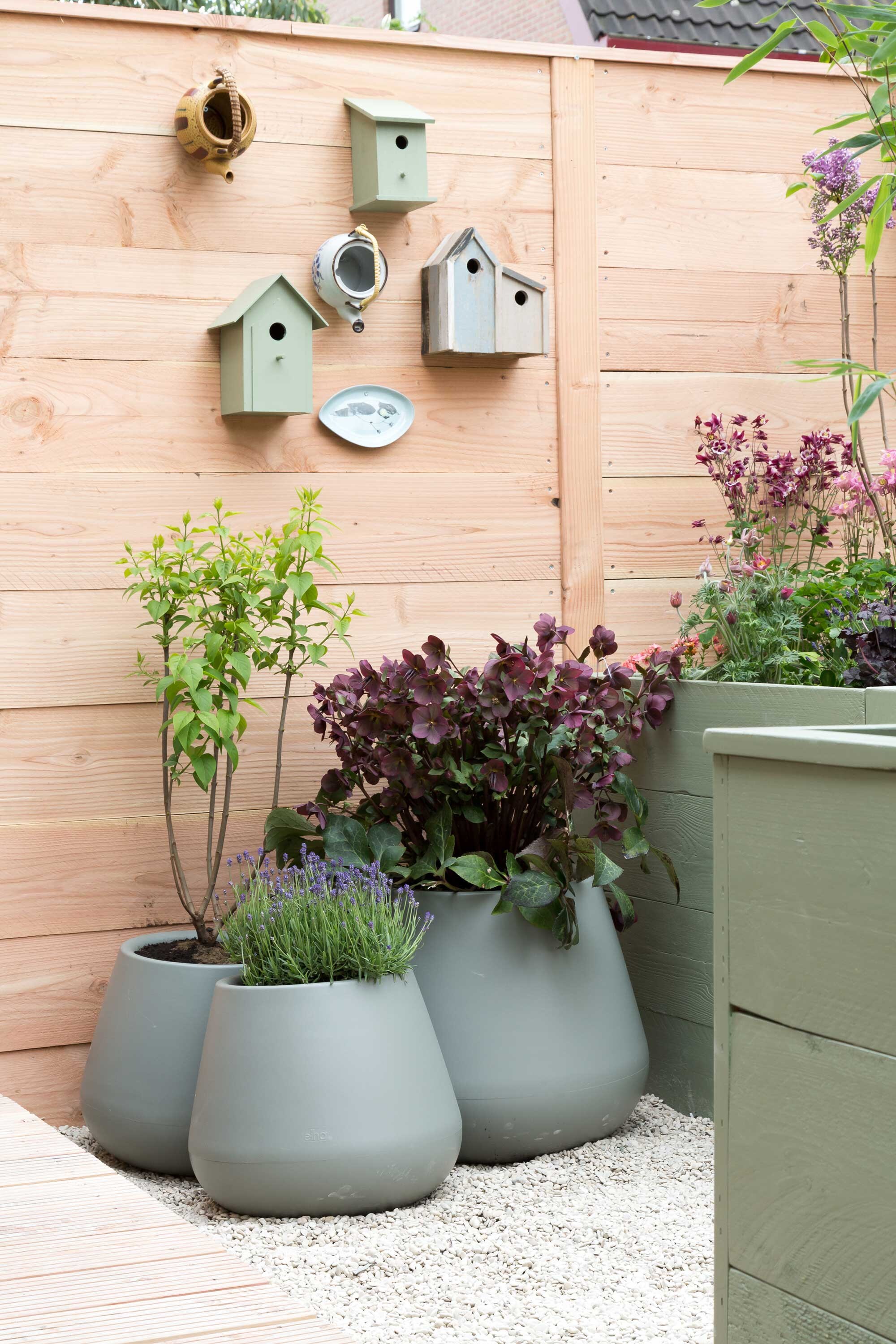 Potten Pure Cone, stonegrey, 45x36 cm (Øxh) per stuk € 69,- (www.elho.nl). Vogelhuisjes vanaf € 3,- (www.action.nl). Theepotten € 4,- (kringloop). Schaaltje van Bloomingville set van 4 € 41,70 (www.vtwonen.nl). Planten (tuincentrum). Weer verliefd op je huis aflevering 11 seizoen 6 2017 | Styling Leonie Mooren | Fotografie Barbara Kieboom