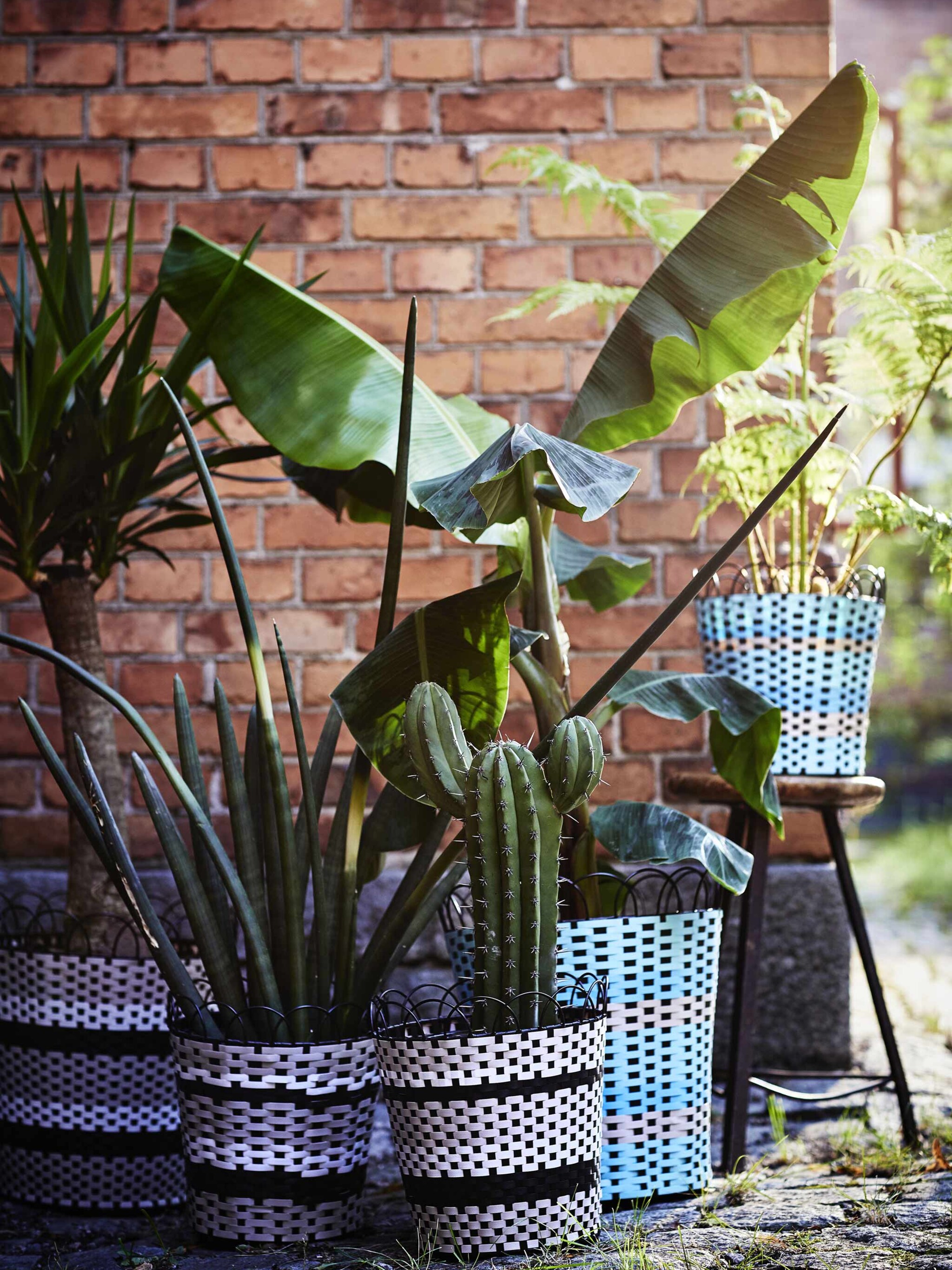 staycation in eigen tuin