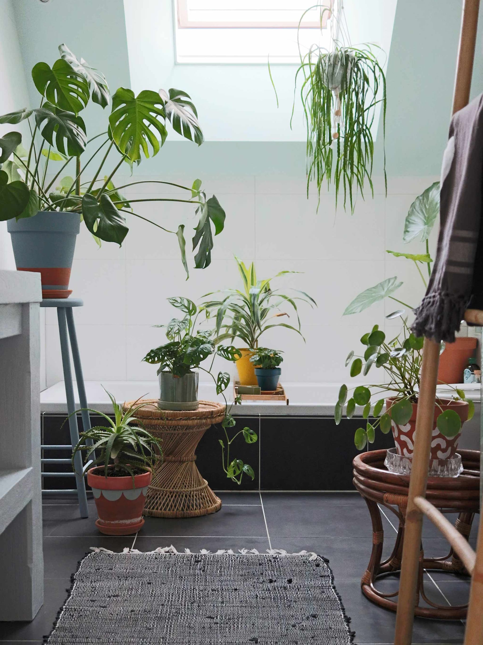 zo creeer je een urban jungle in de badkamer