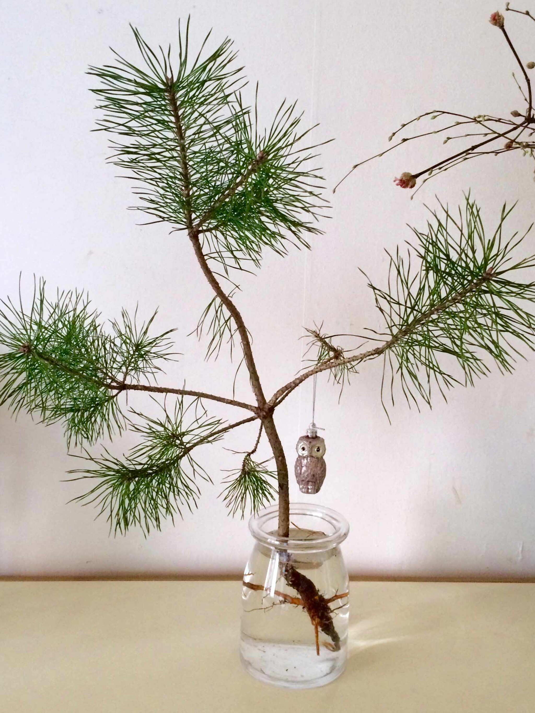 4x recycleplezier van je boom