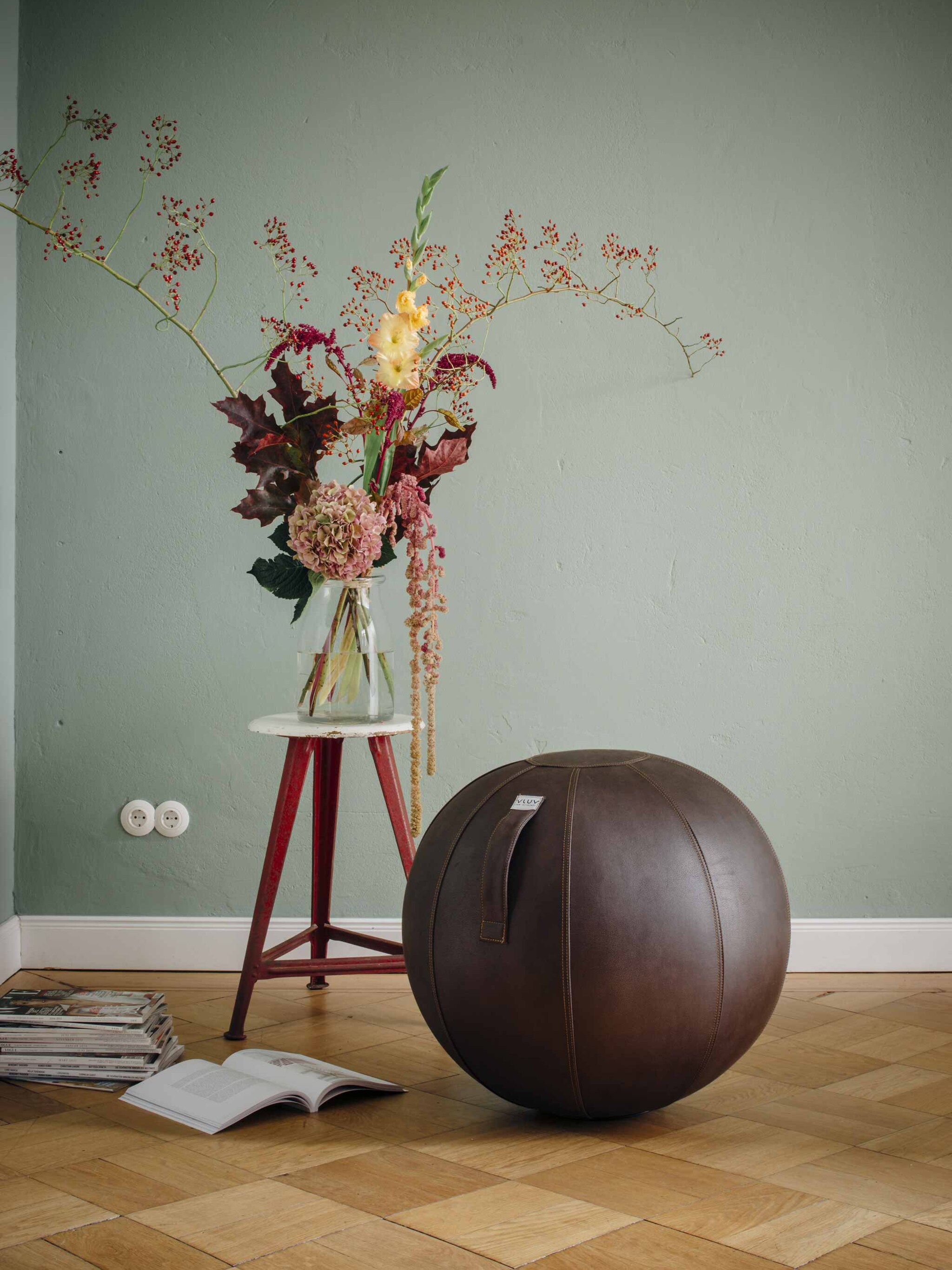pick of the week de zitbal van vluv
