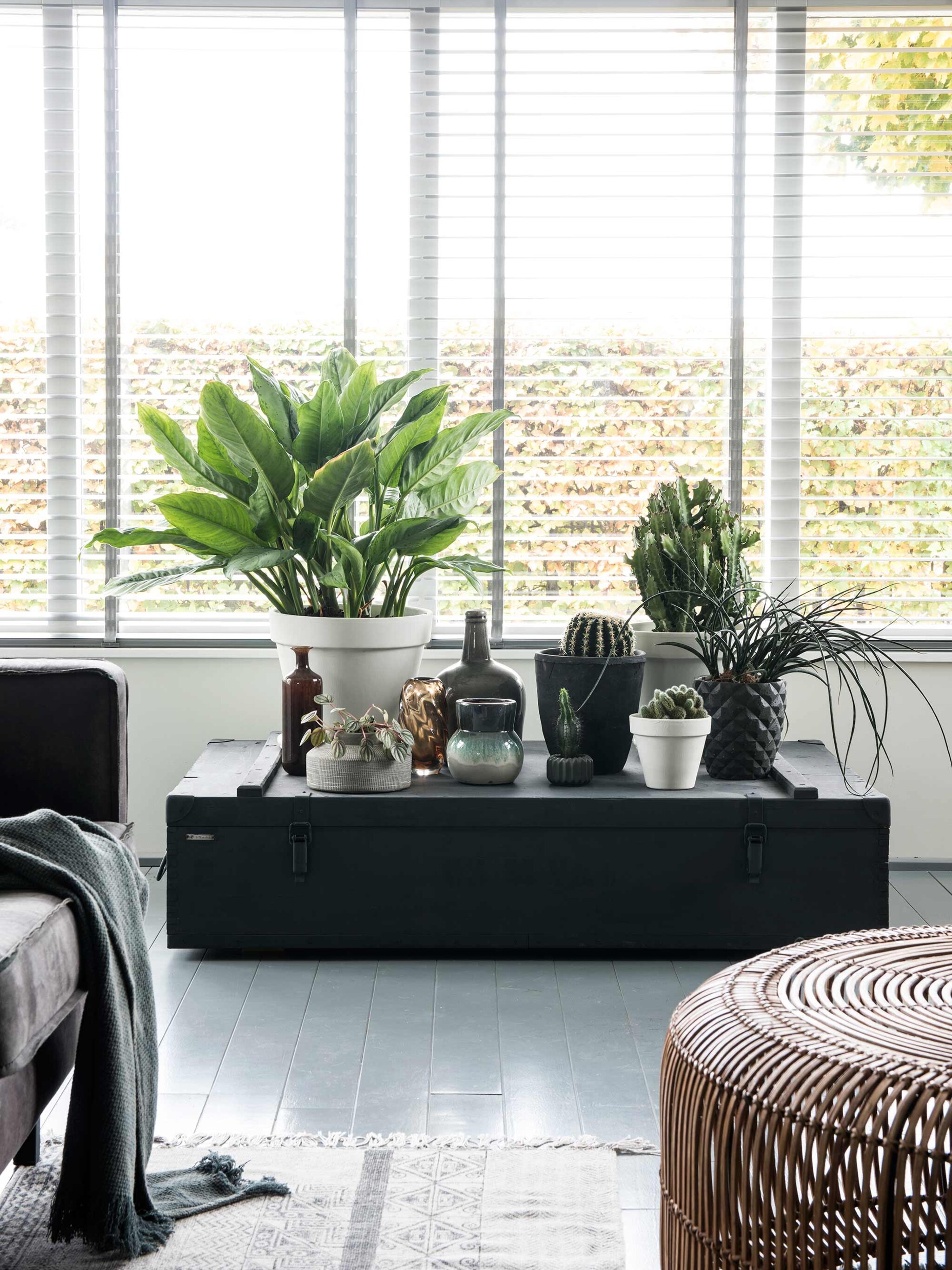 binnenkijken in een vrijstaande woning in nibbixwoud