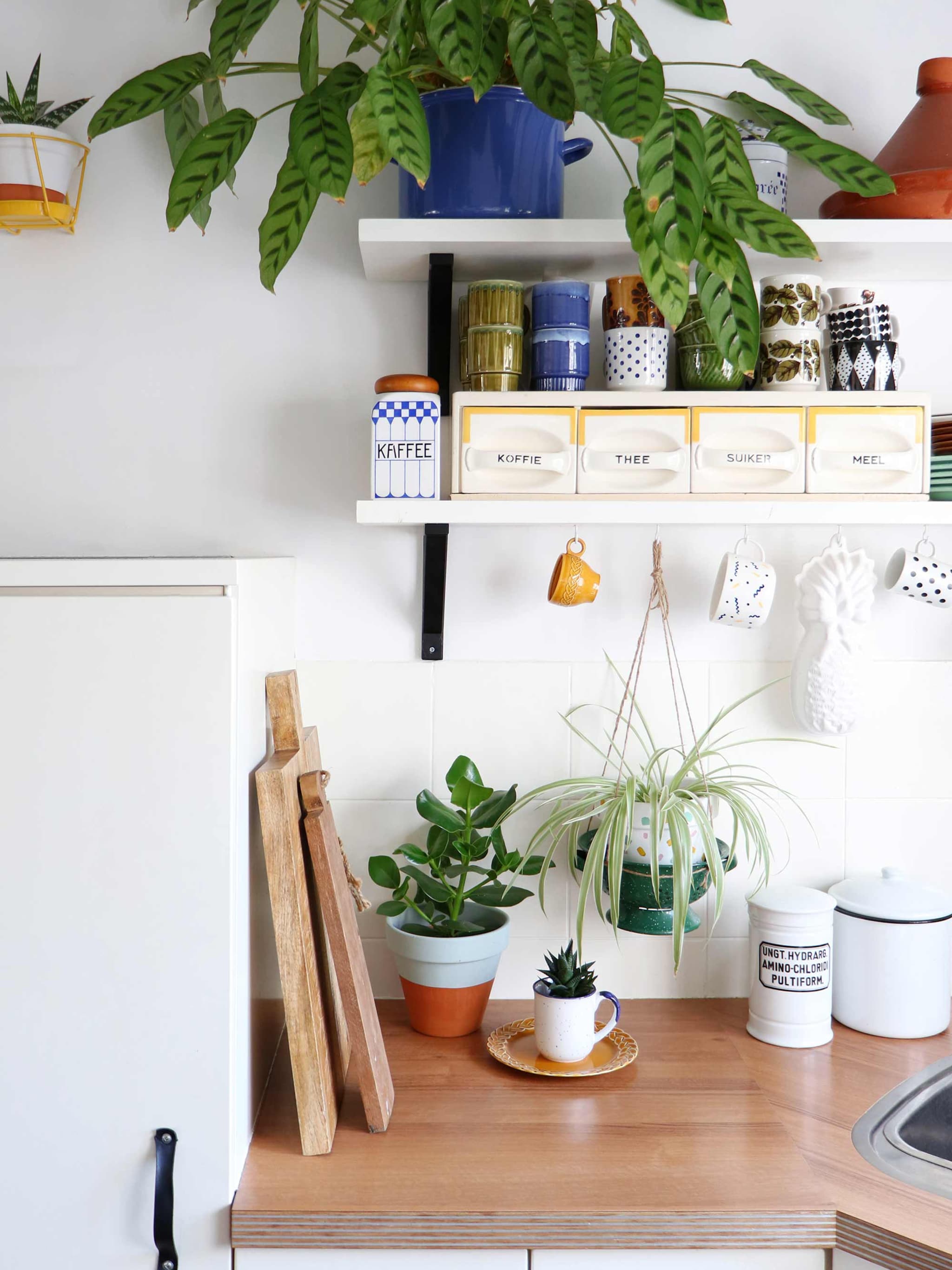 geef je keuken een nieuwe look met levend groen