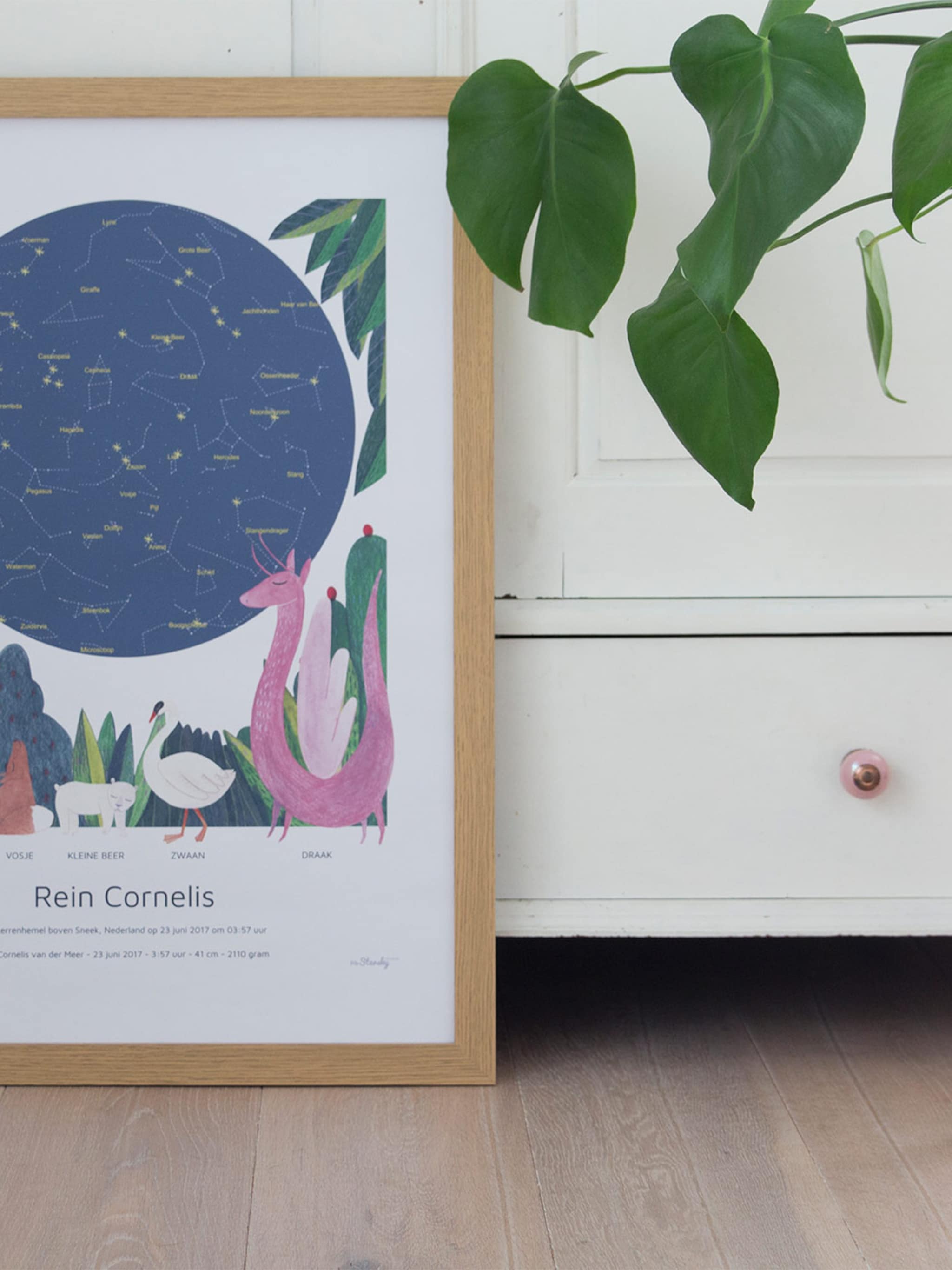 uniek kraamcadeau poster van mrstarskyamsterdam