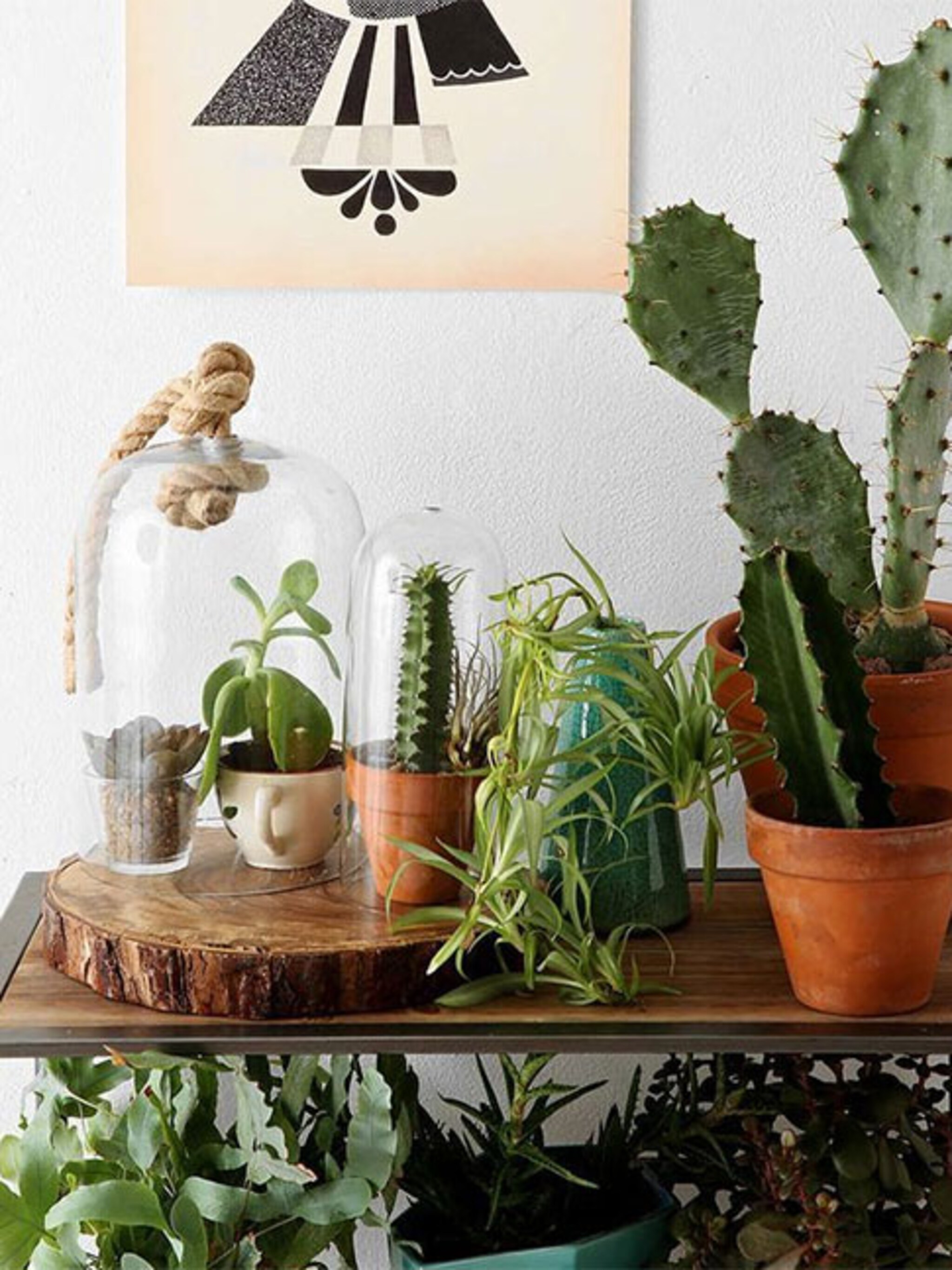 trend urban jungle in huis
