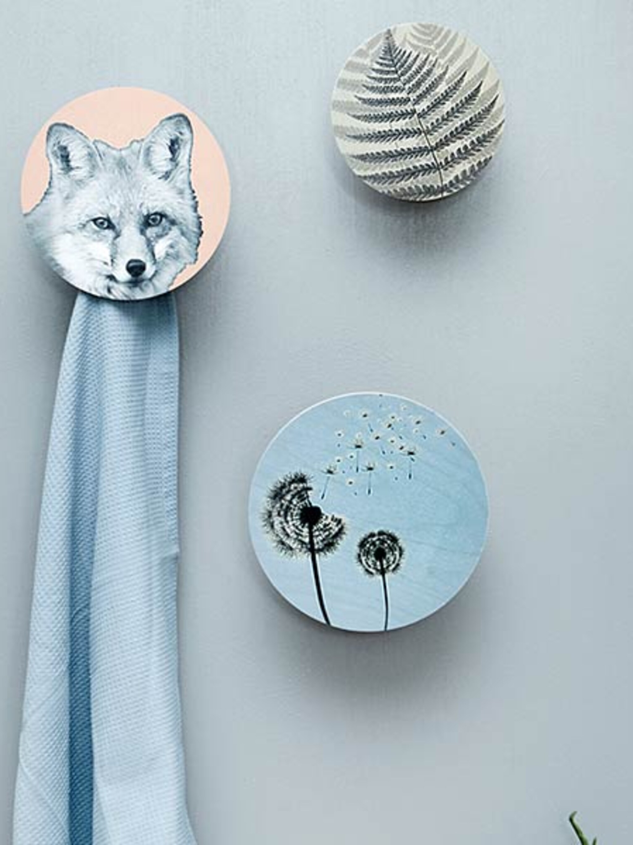 pick of the week wandhaken van dims