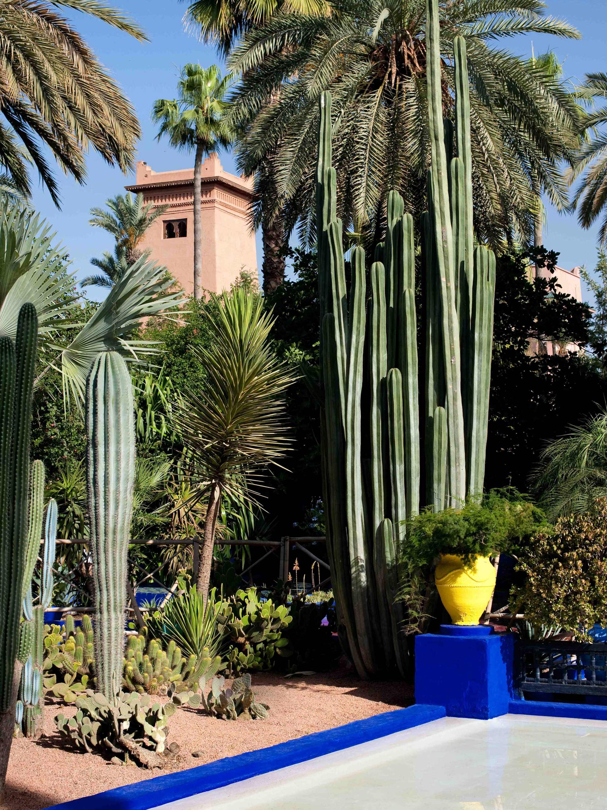 5x groene vakantie uitstapjes