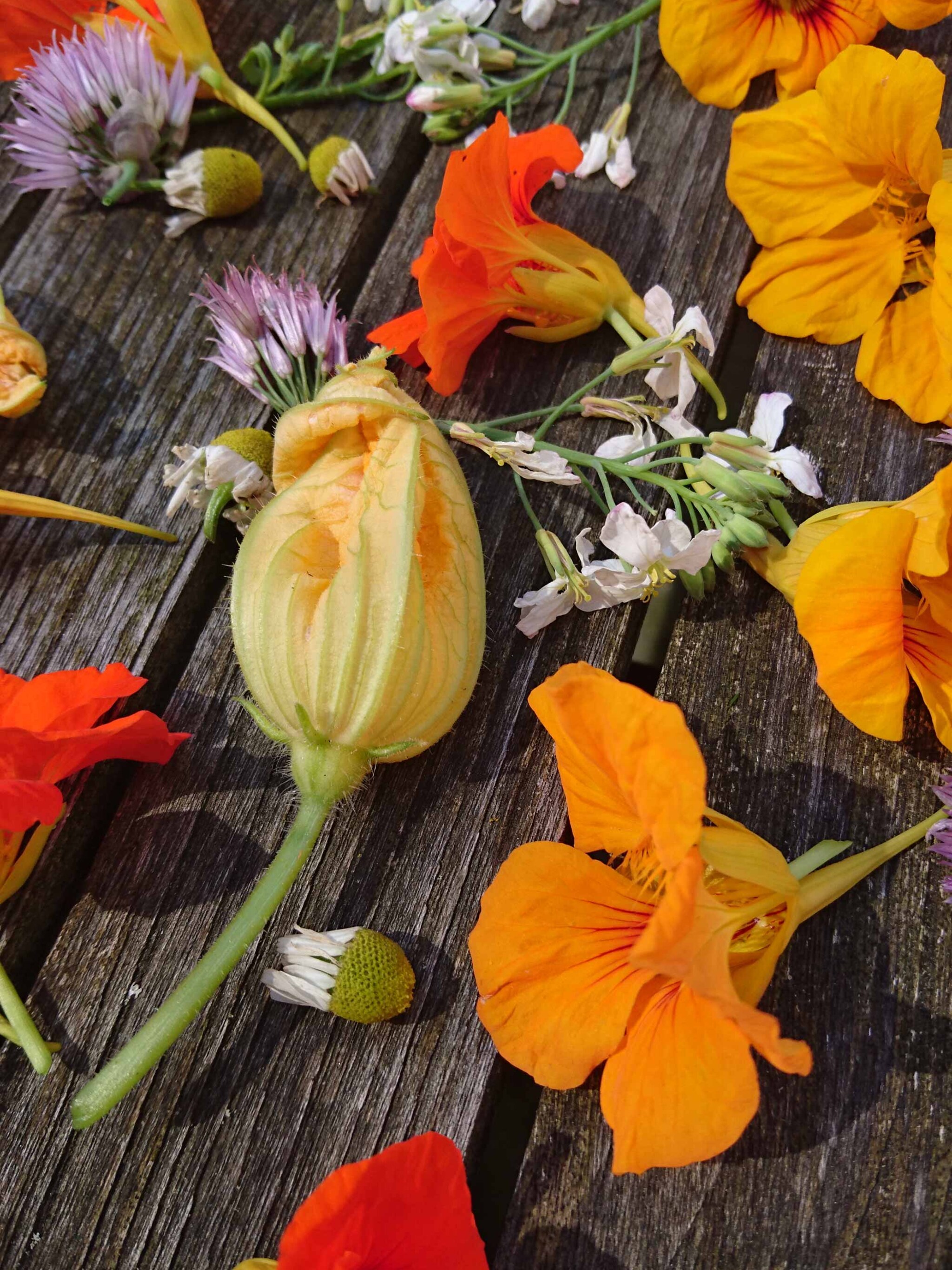 eetbare bloemen in de moestuin