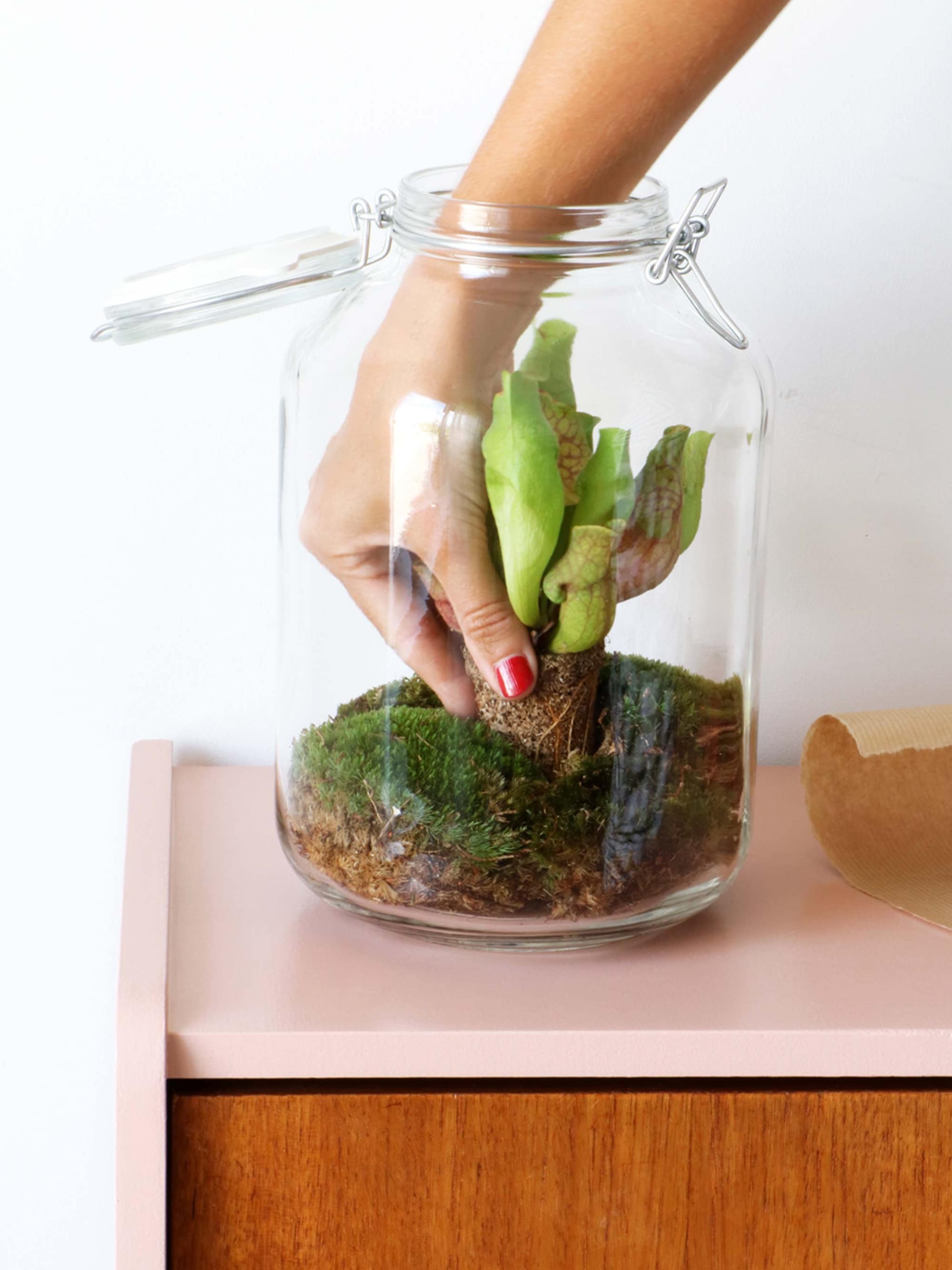 groene vleeseter in een weckpot