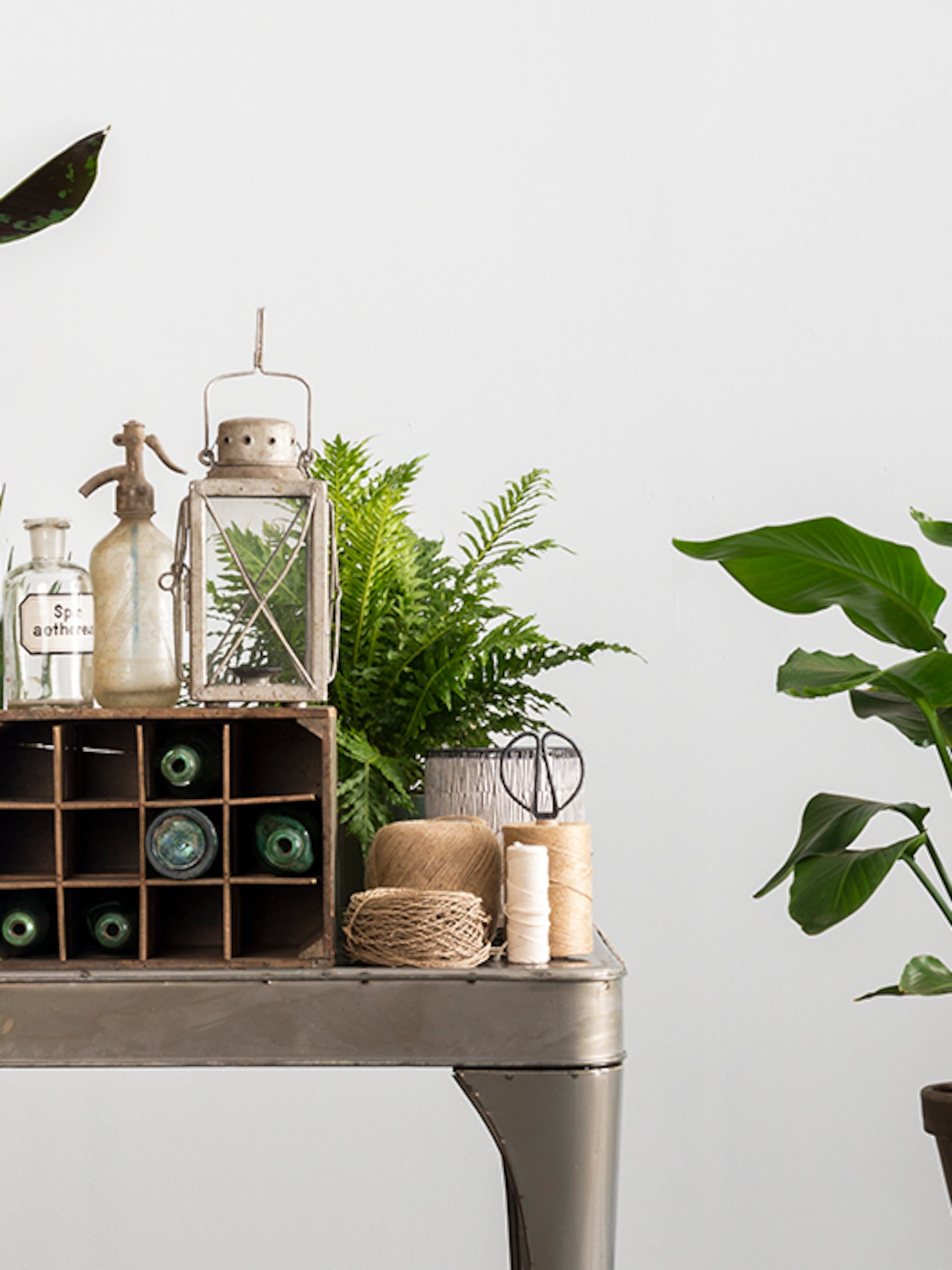 kleur je huis groen met deze potten en planten