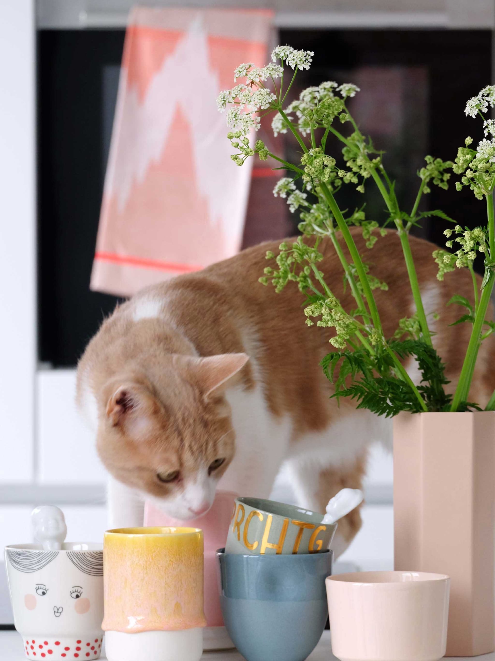 servies om van te smullen