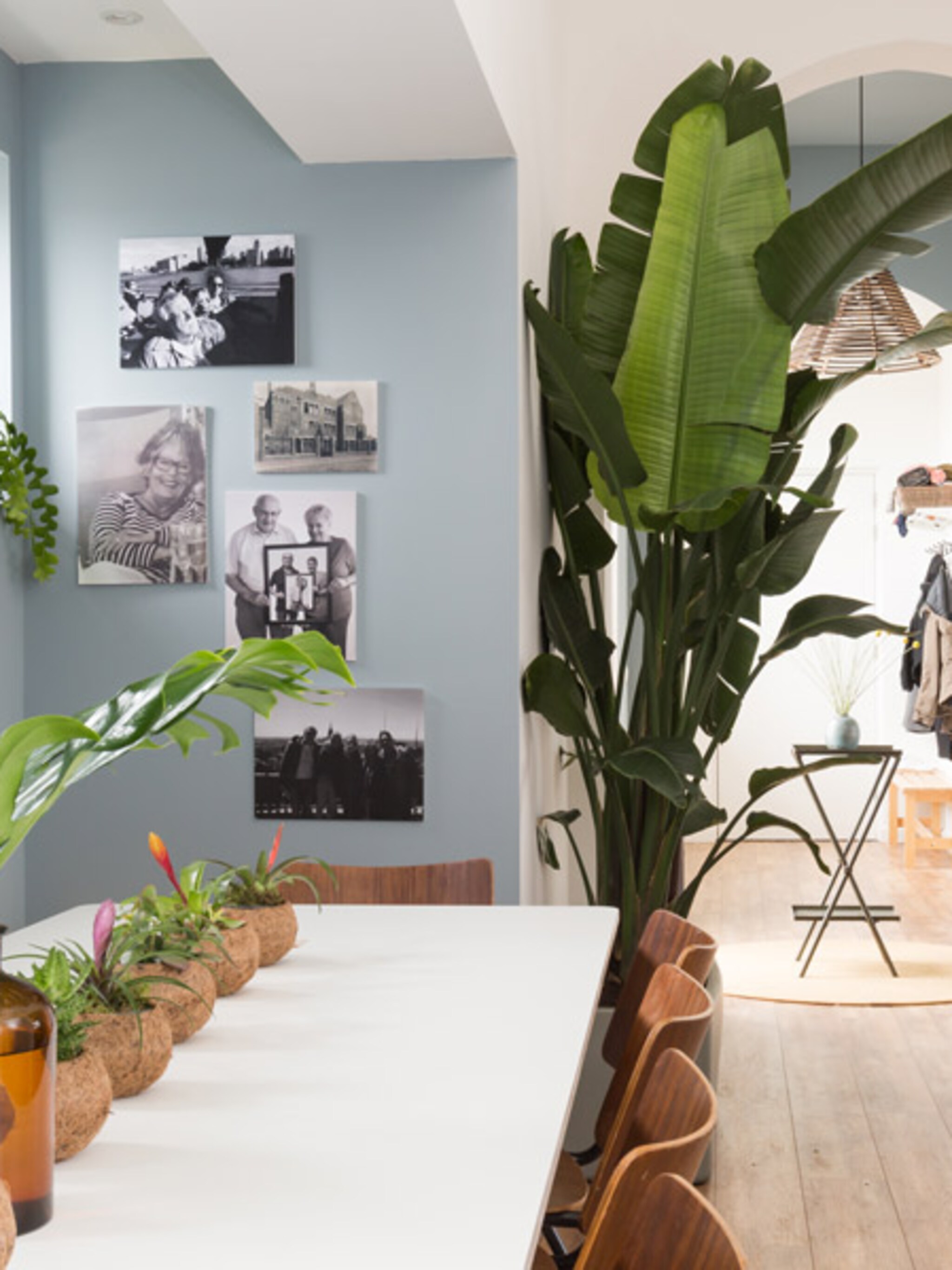 stylist frans blikt terug make over in den haag