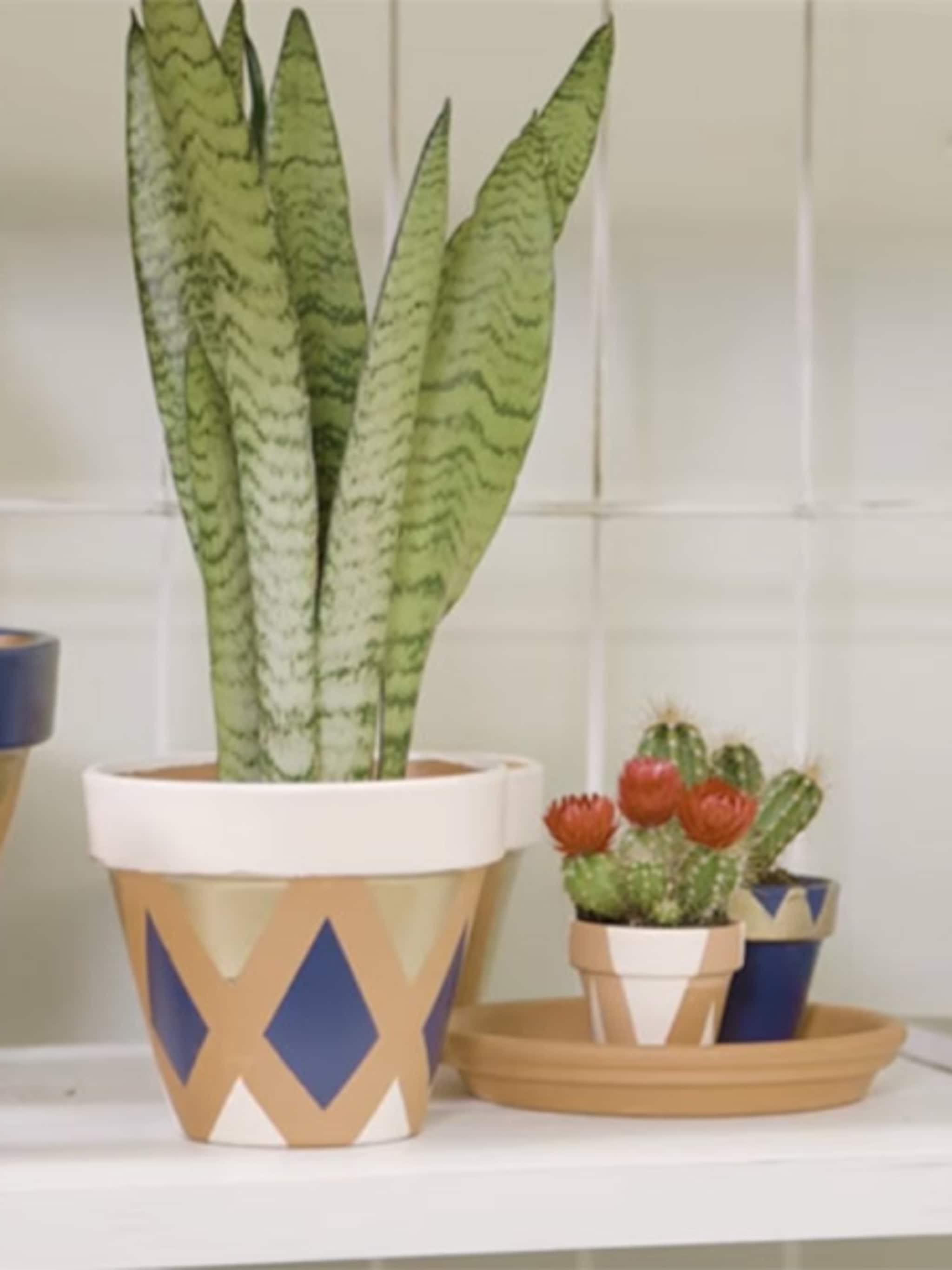 diy grafische terracotta bloempot verven