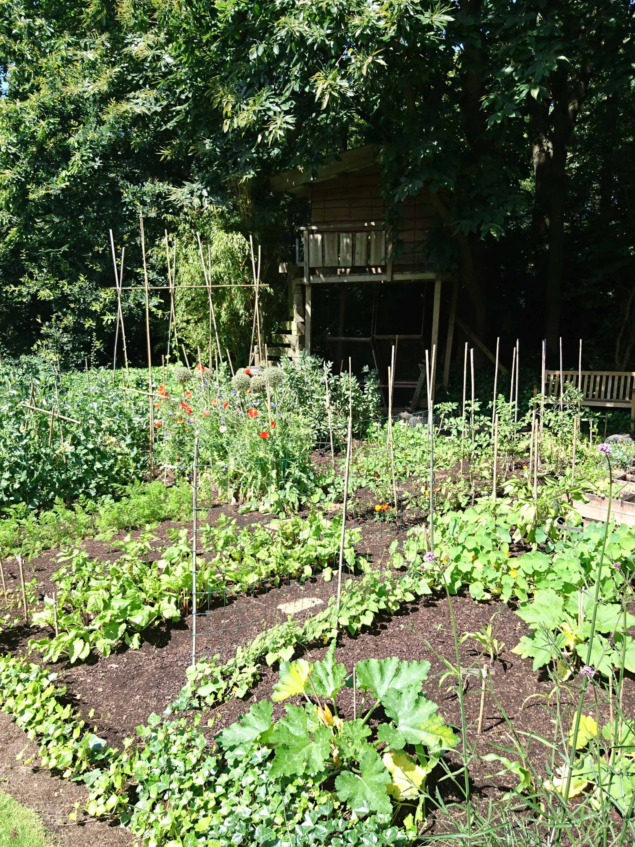 zo leg je de basis voor jouw moestuin