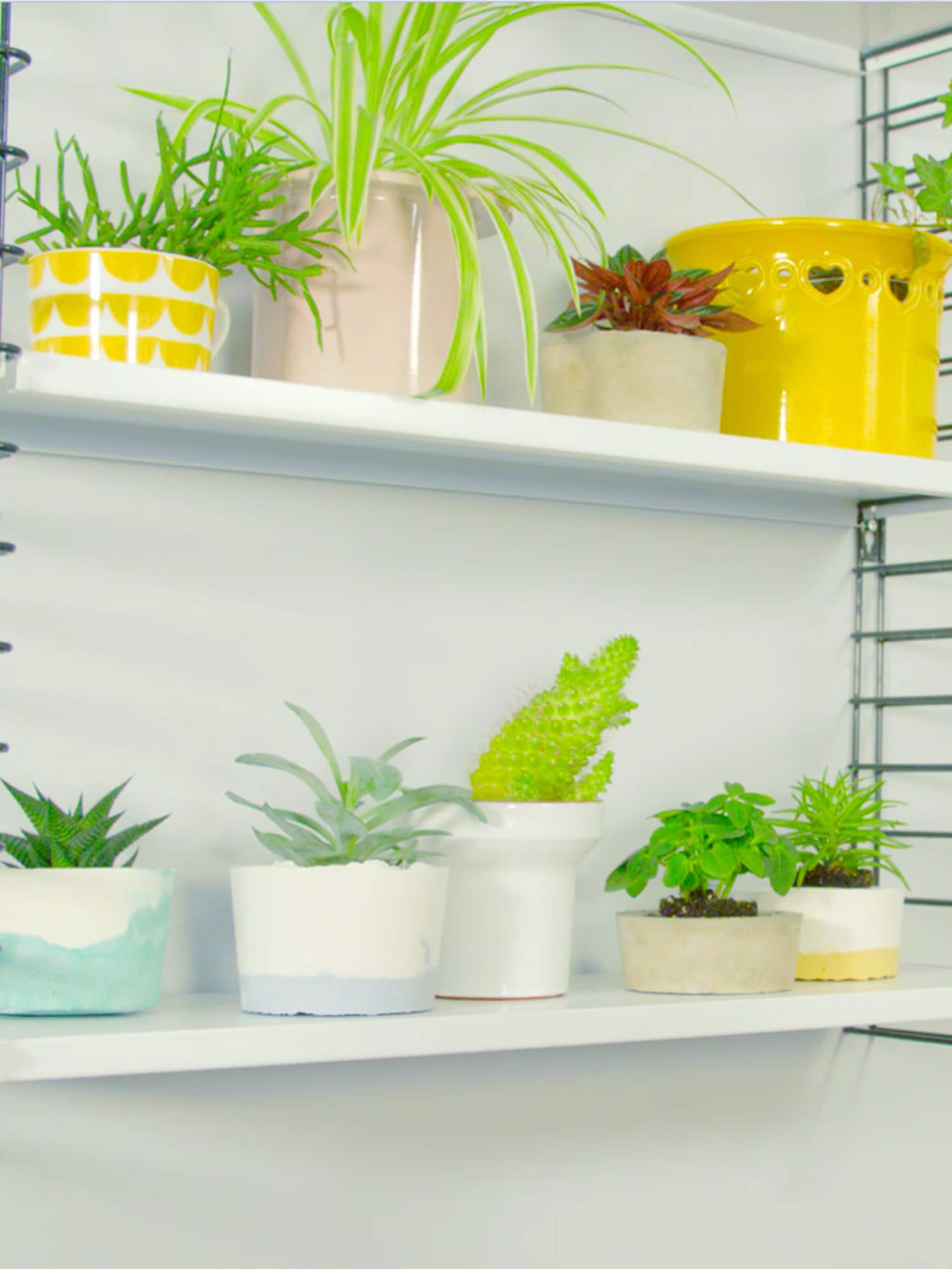 diy kleurrijke bloempotten van beton