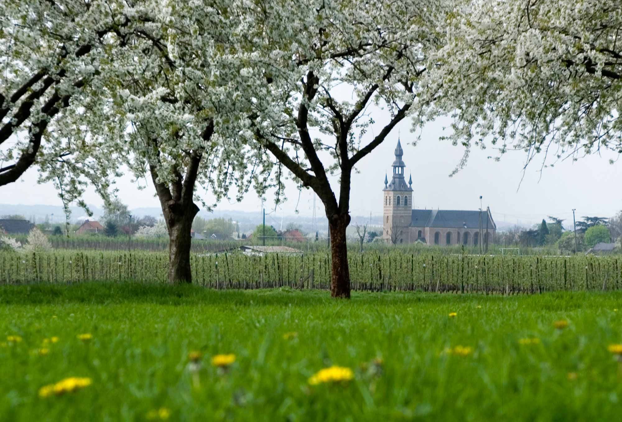 beeld vtwonen