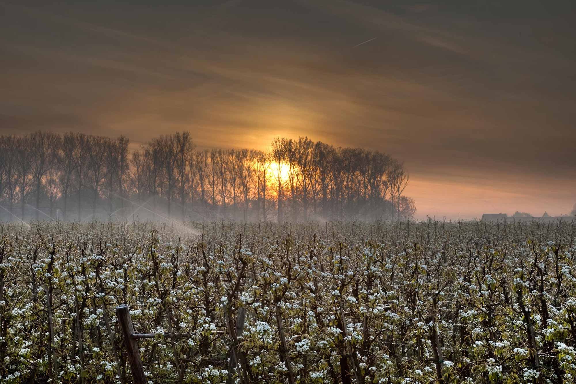 beeld vtwonen