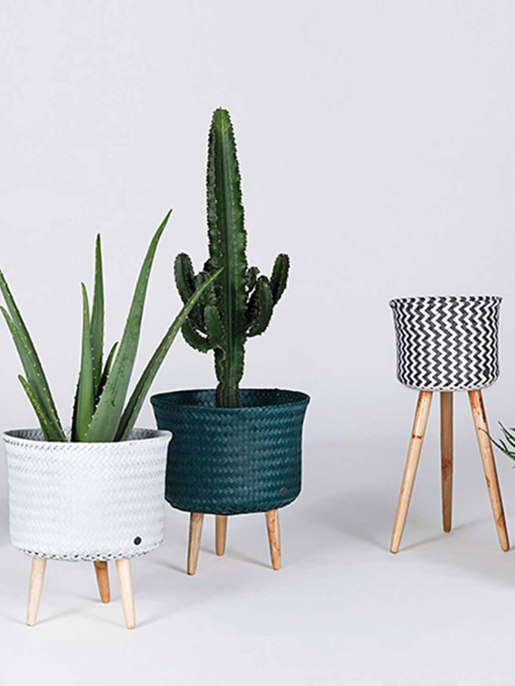 planten in denim drift
