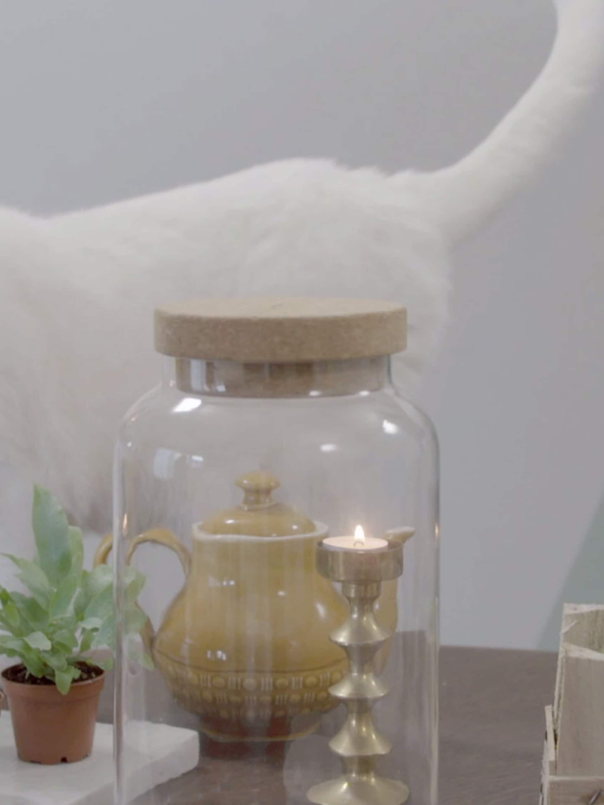 diy terrarium in een pot